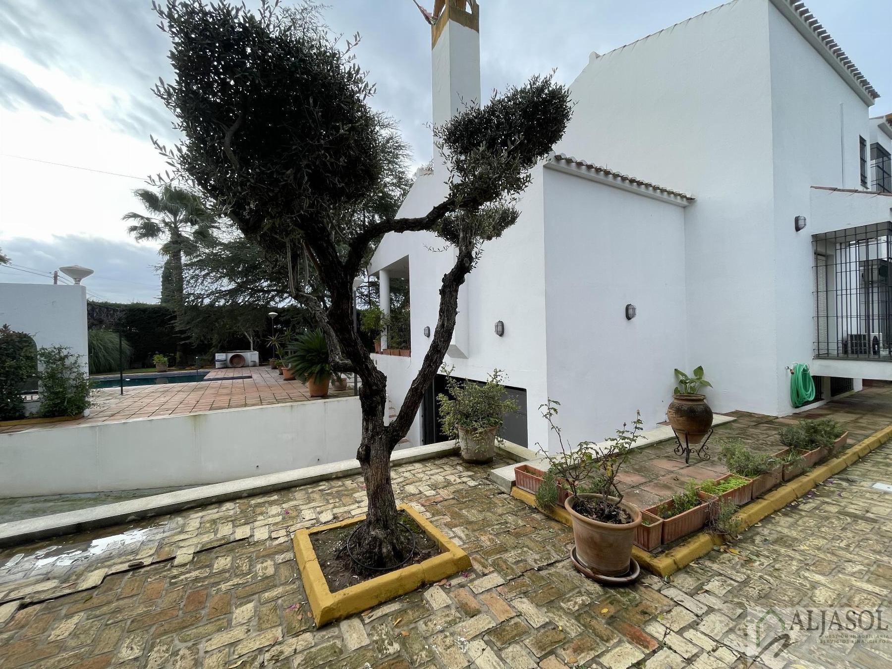 Venta de chalet en Sanlúcar la Mayor
