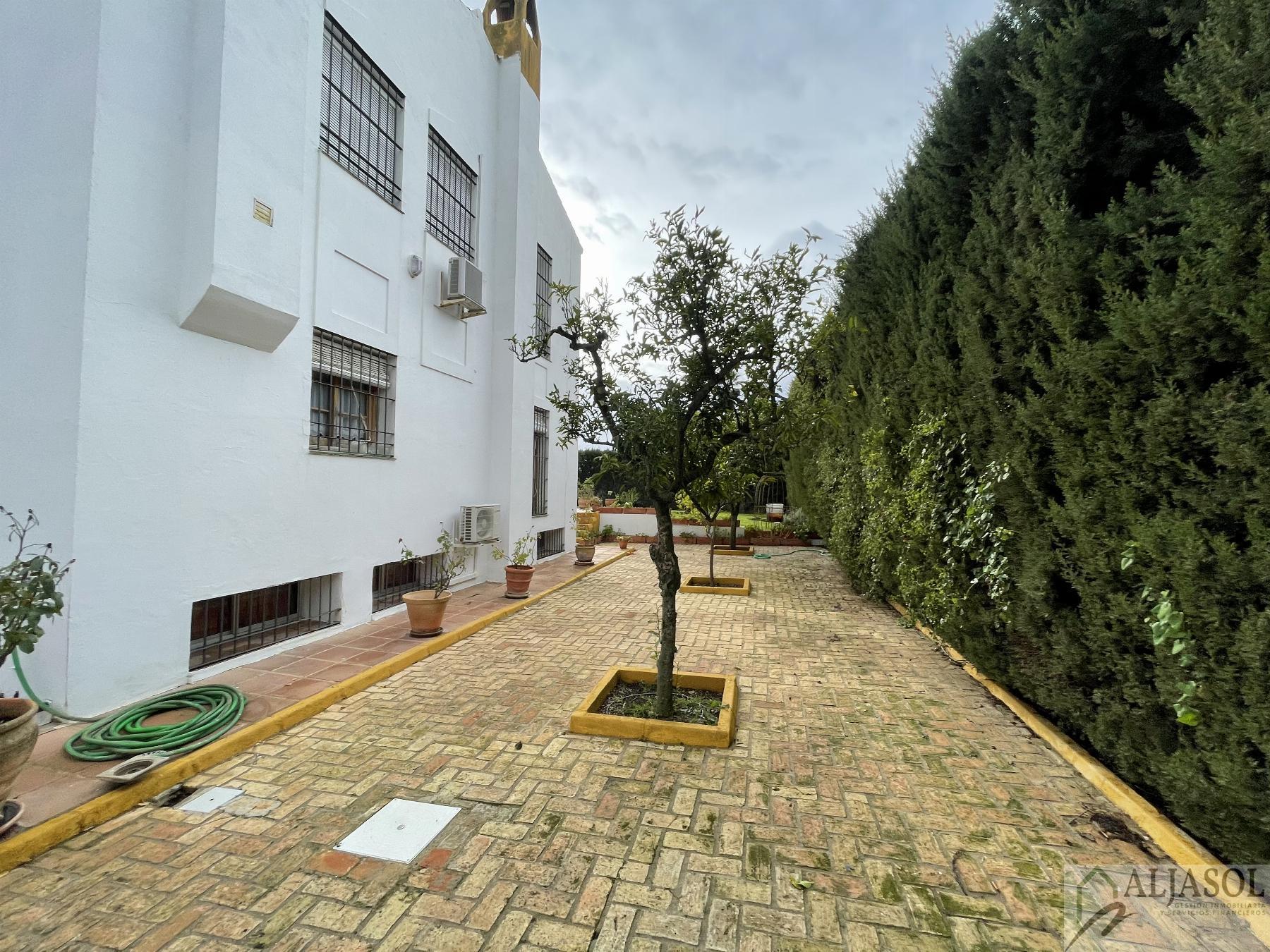 Venta de chalet en Sanlúcar la Mayor