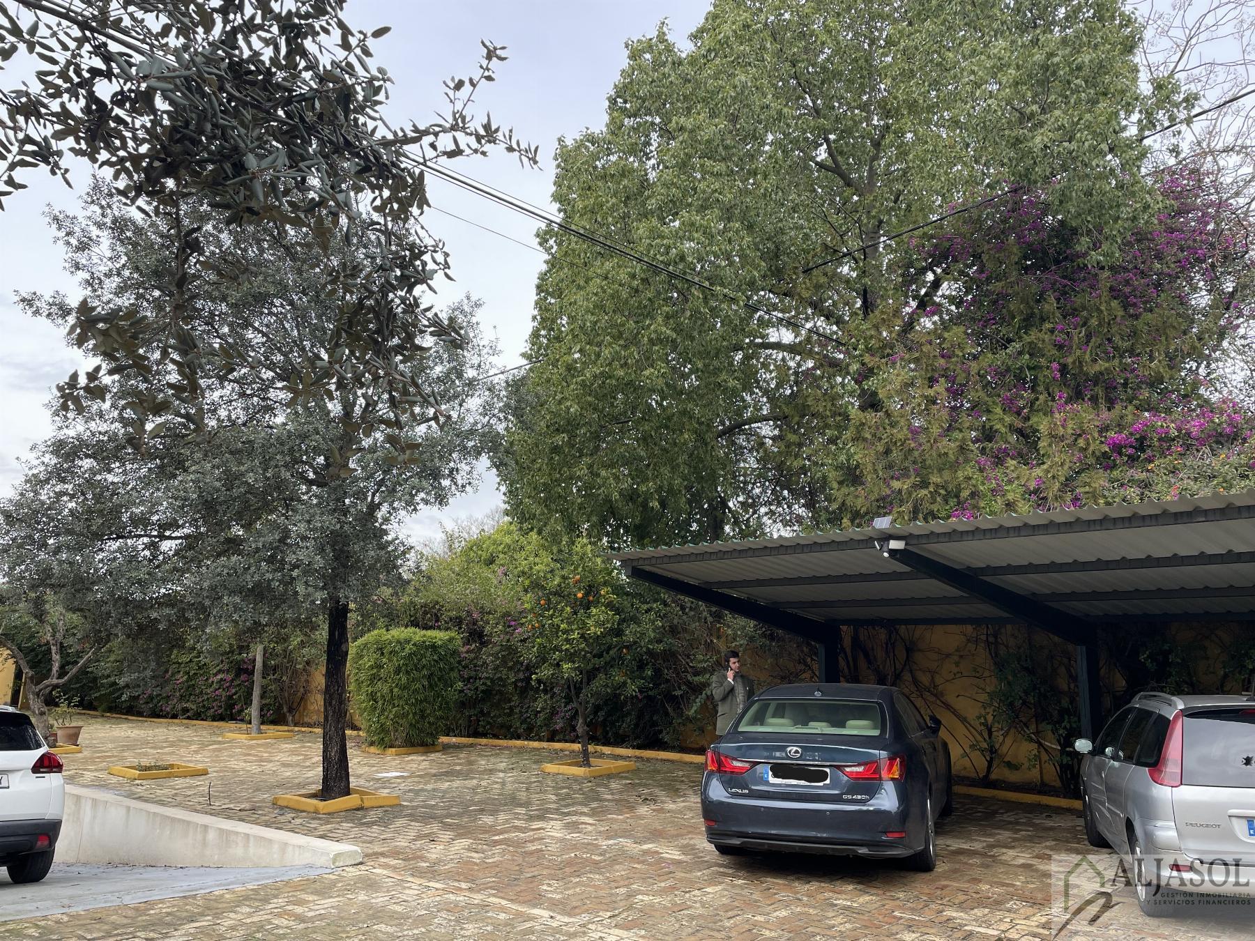 Venta de chalet en Sanlúcar la Mayor