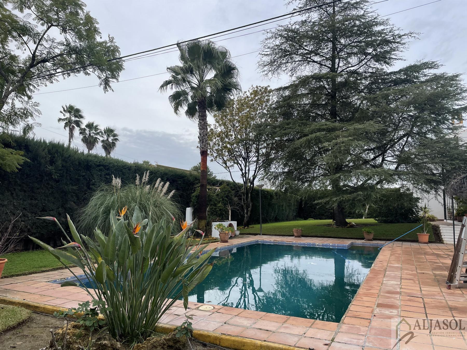 Venta de chalet en Sanlúcar la Mayor
