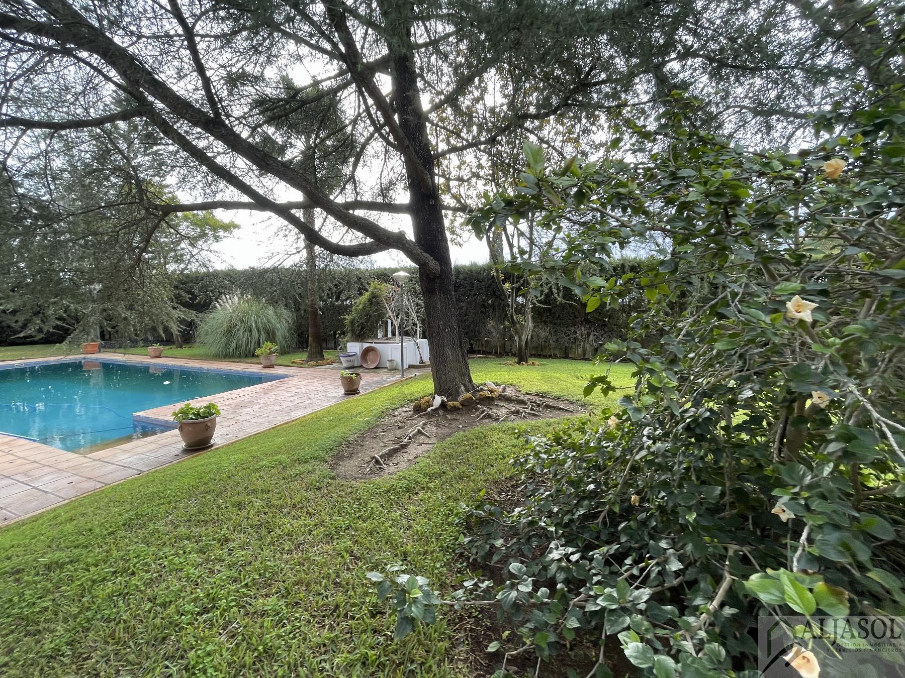 Venta de chalet en Sanlúcar la Mayor