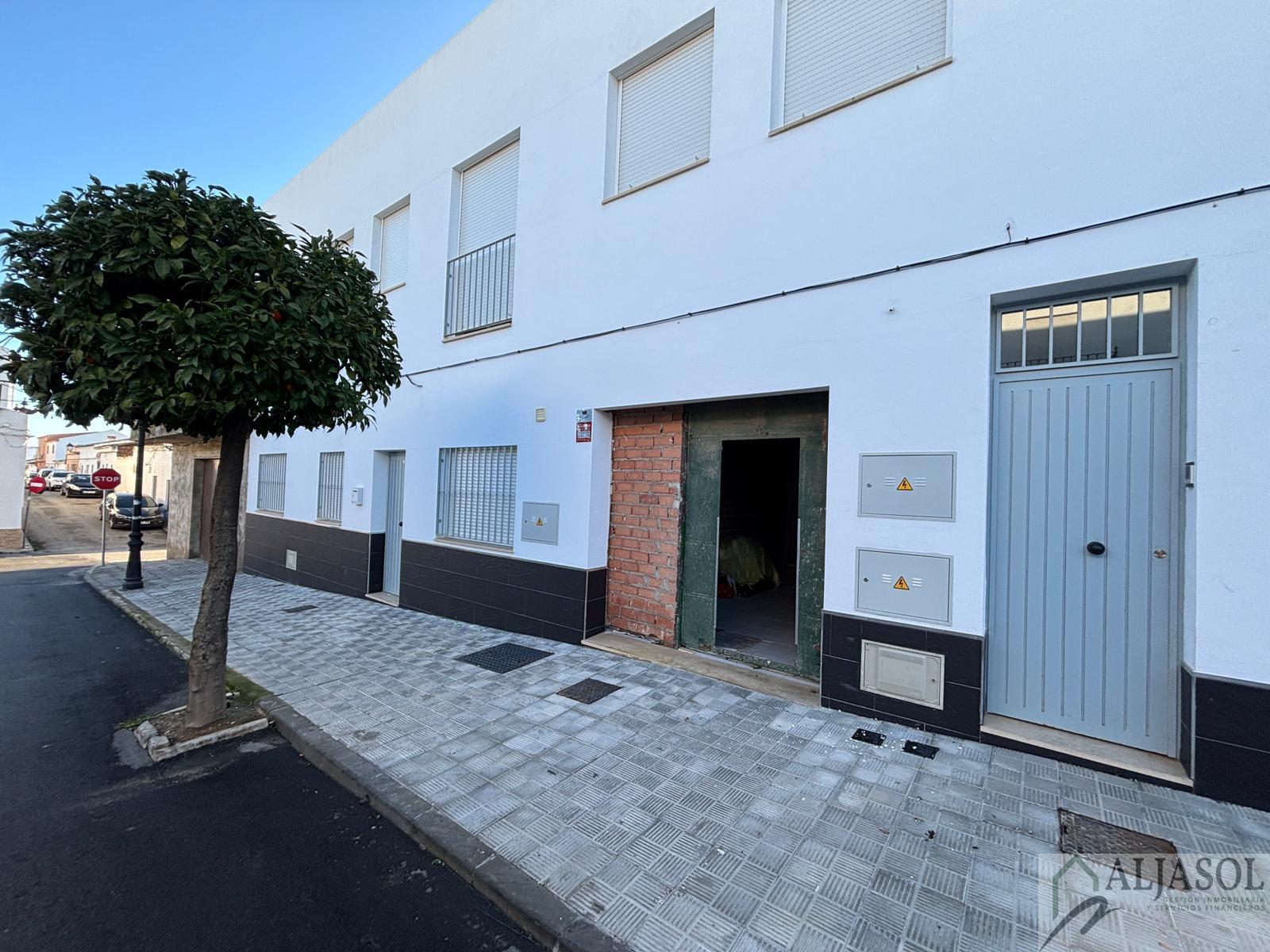 For rent of commercial in Olivares