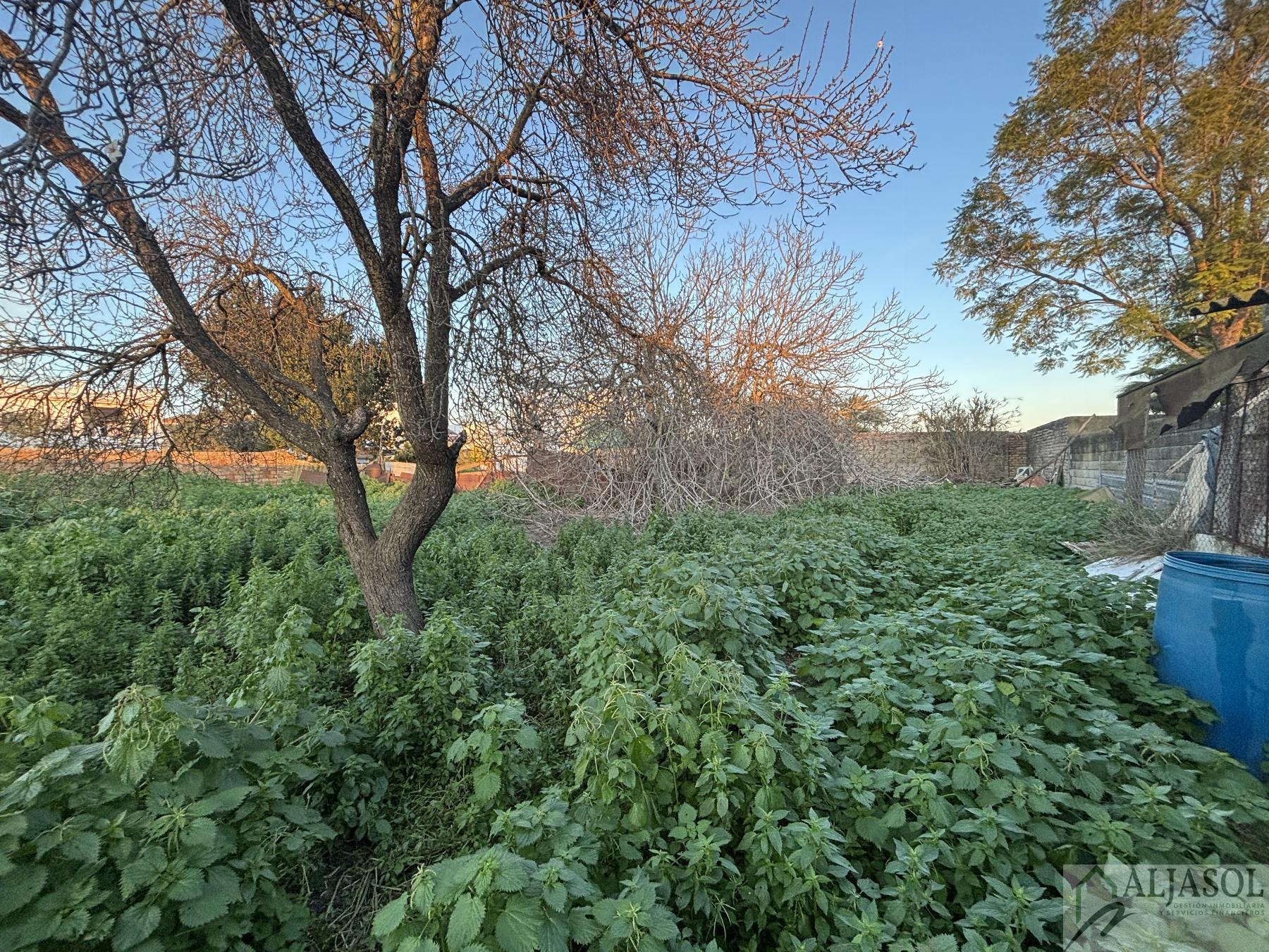 For sale of house in Salteras