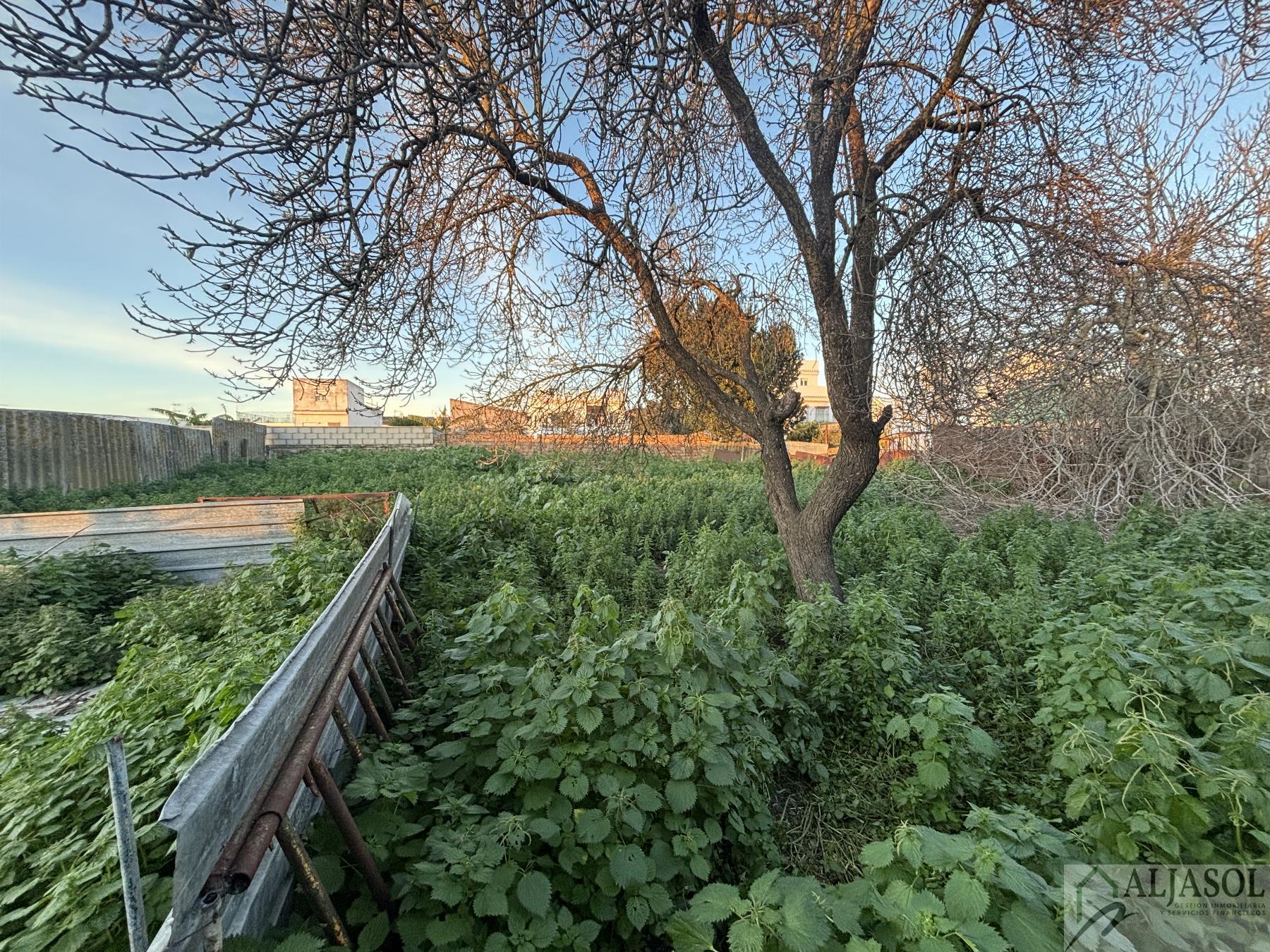 For sale of house in Salteras