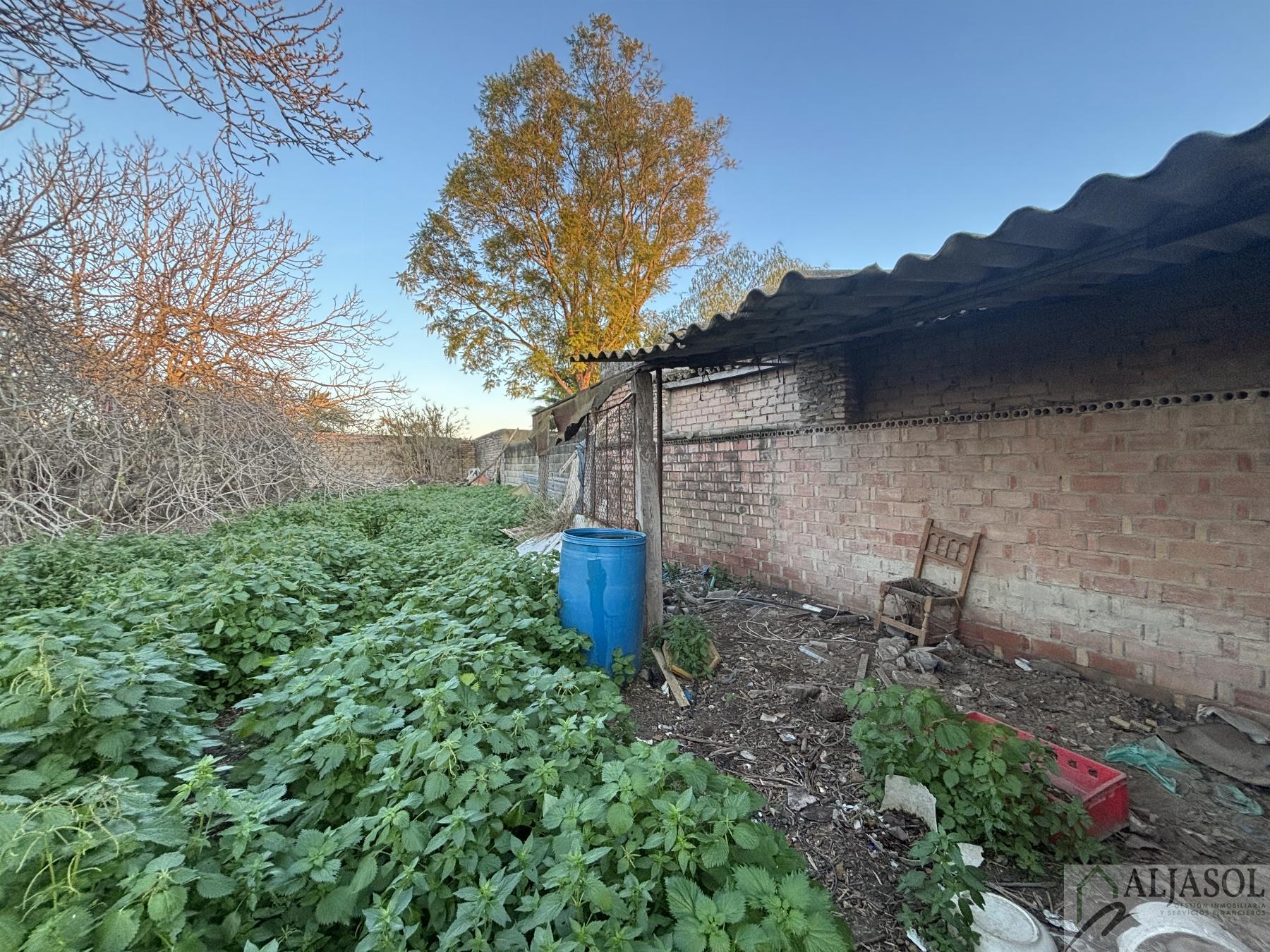 For sale of house in Salteras