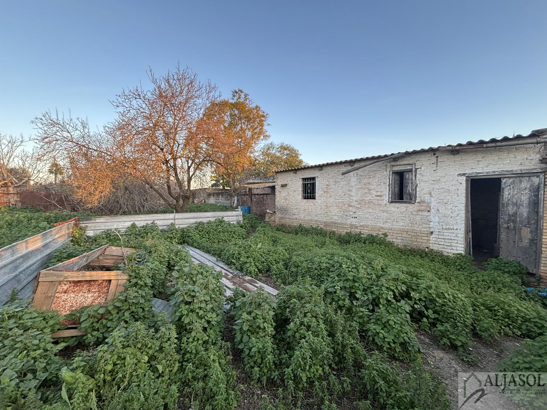 For sale of house in Salteras