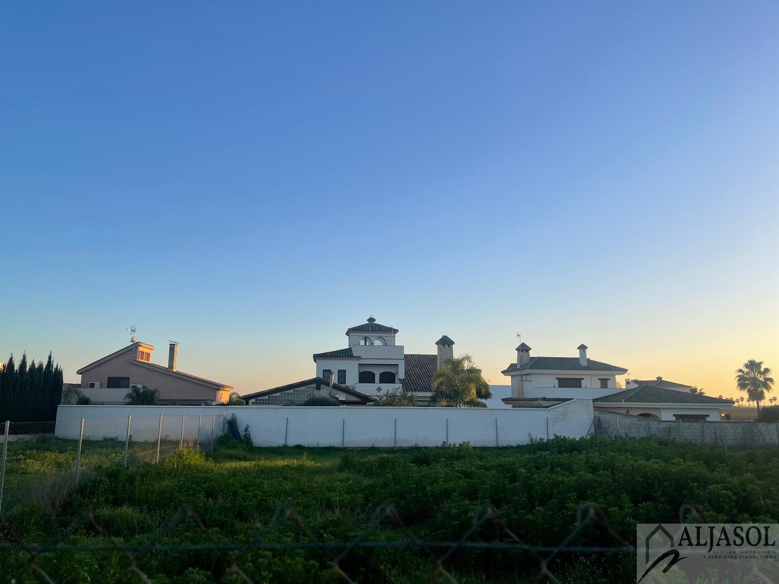 For sale of land in Bollullos de la Mitación