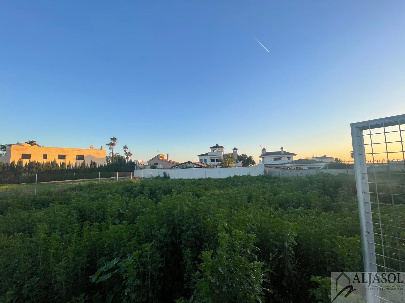For sale of land in Bollullos de la Mitación