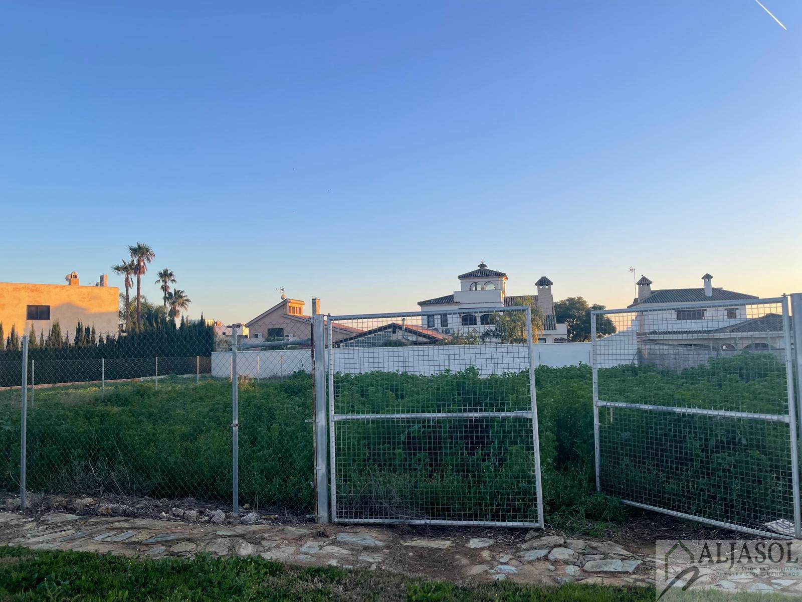 For sale of land in Bollullos de la Mitación