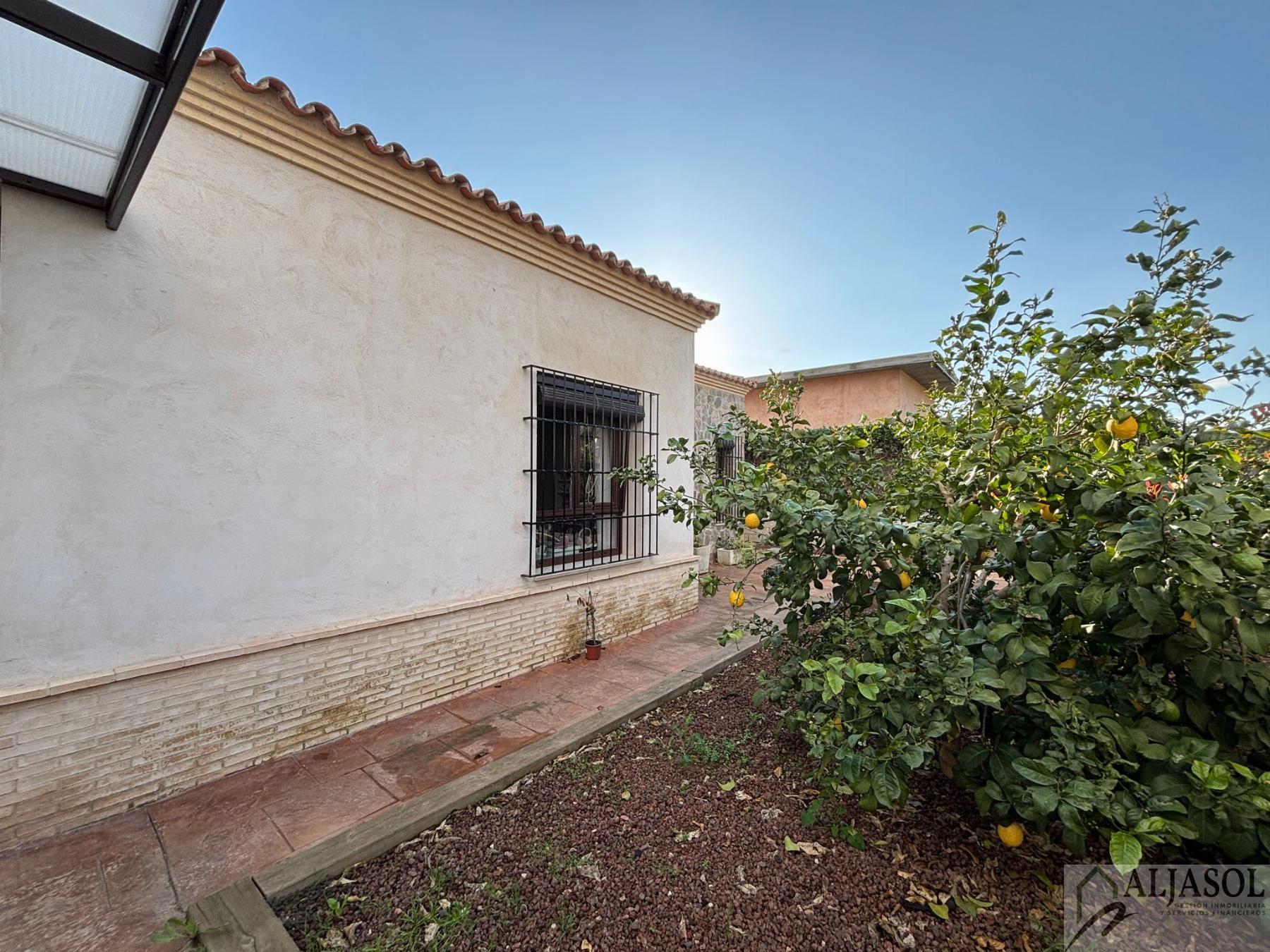 Venta de chalet en Bollullos de la Mitación