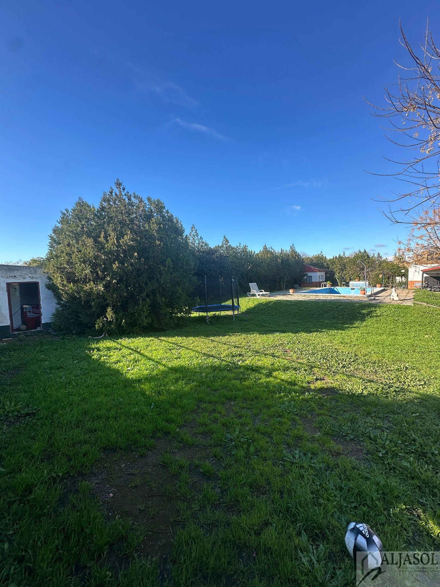 For sale of land in Palomares del Río