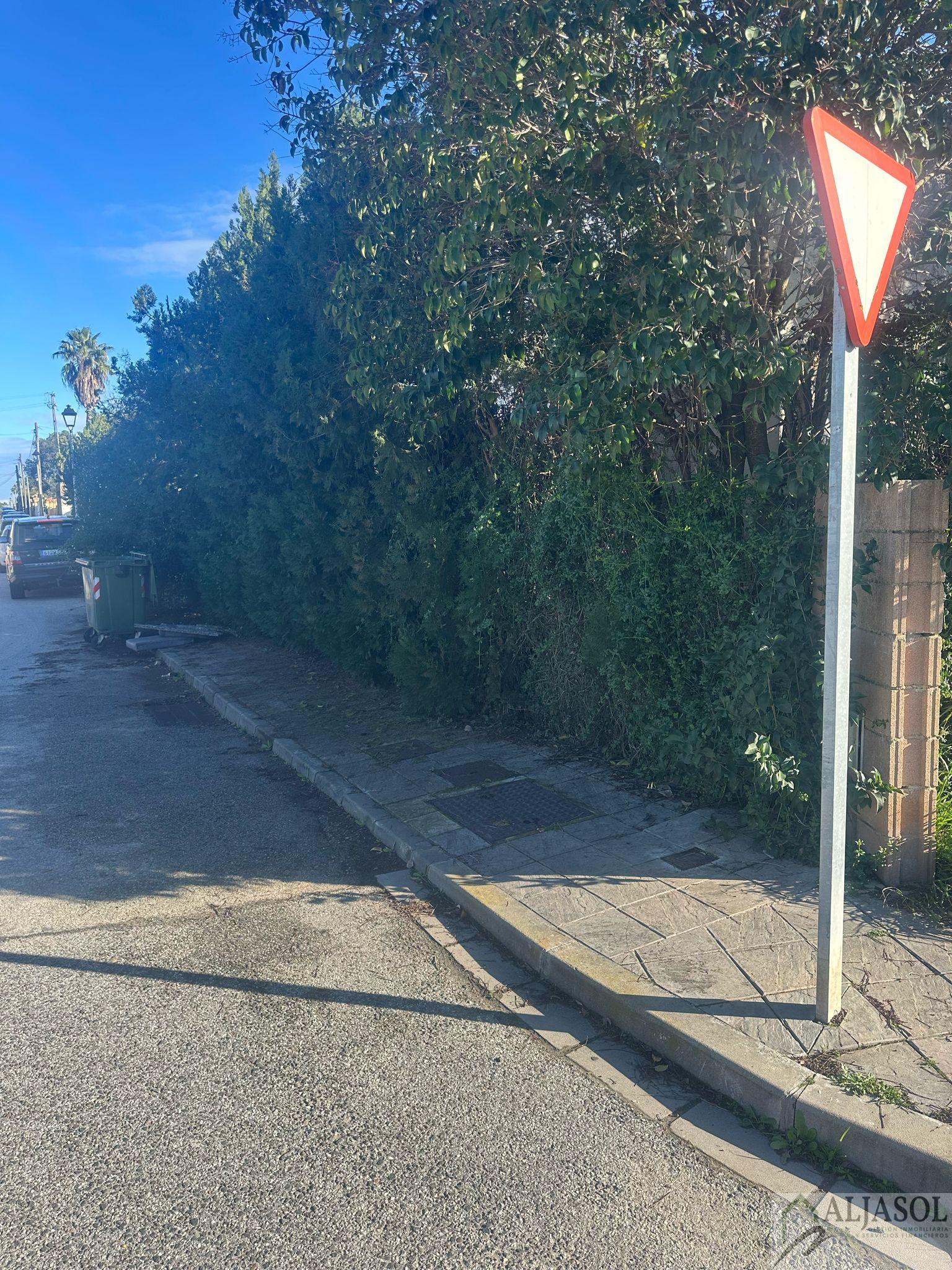 For sale of land in Palomares del Río