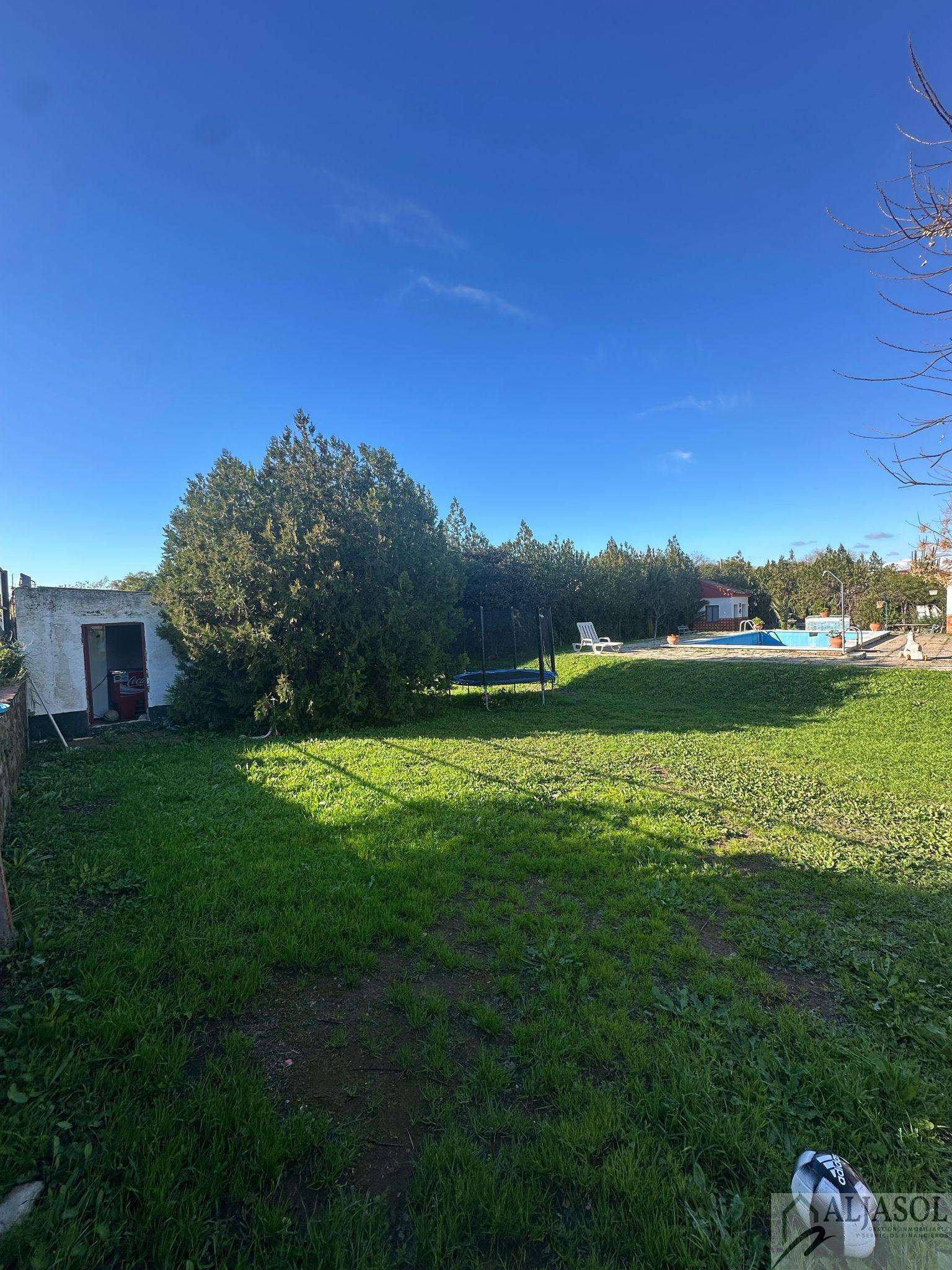 For sale of land in Palomares del Río