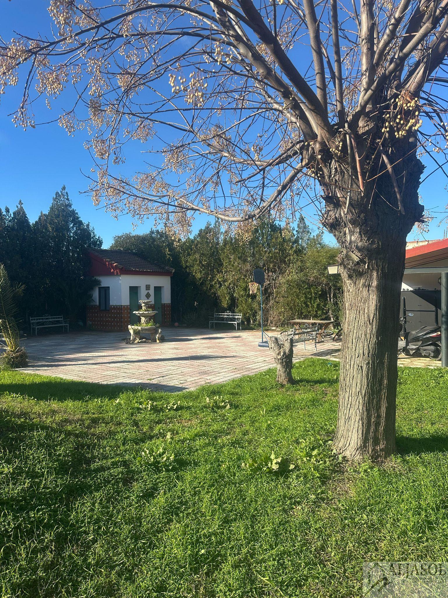 For sale of land in Palomares del Río