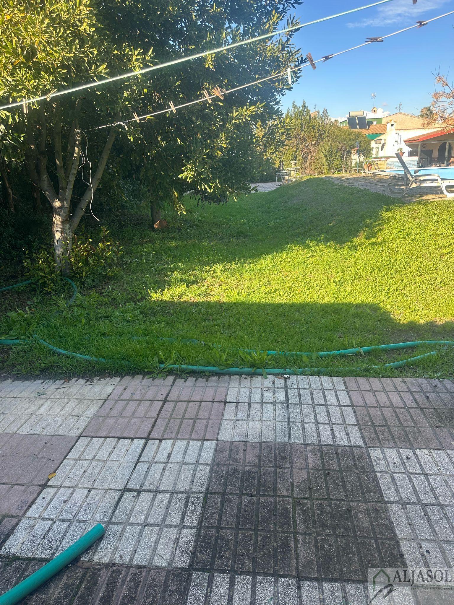 For sale of land in Palomares del Río