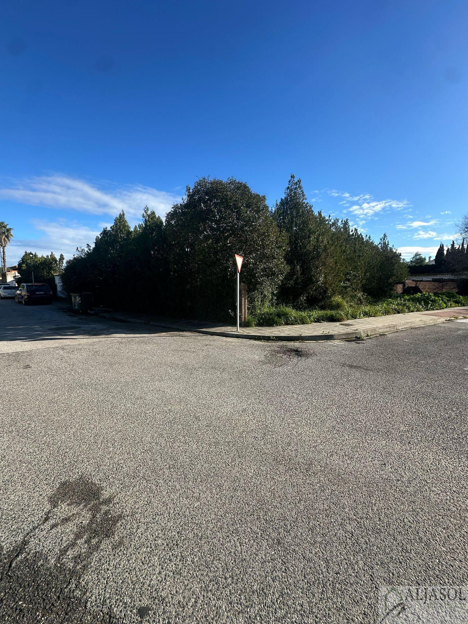For sale of land in Palomares del Río