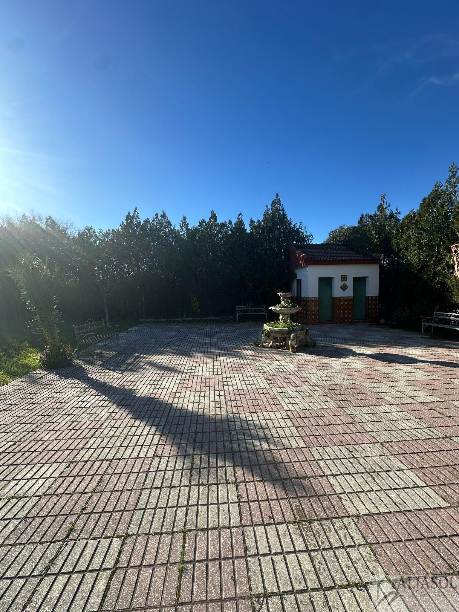 For sale of land in Palomares del Río