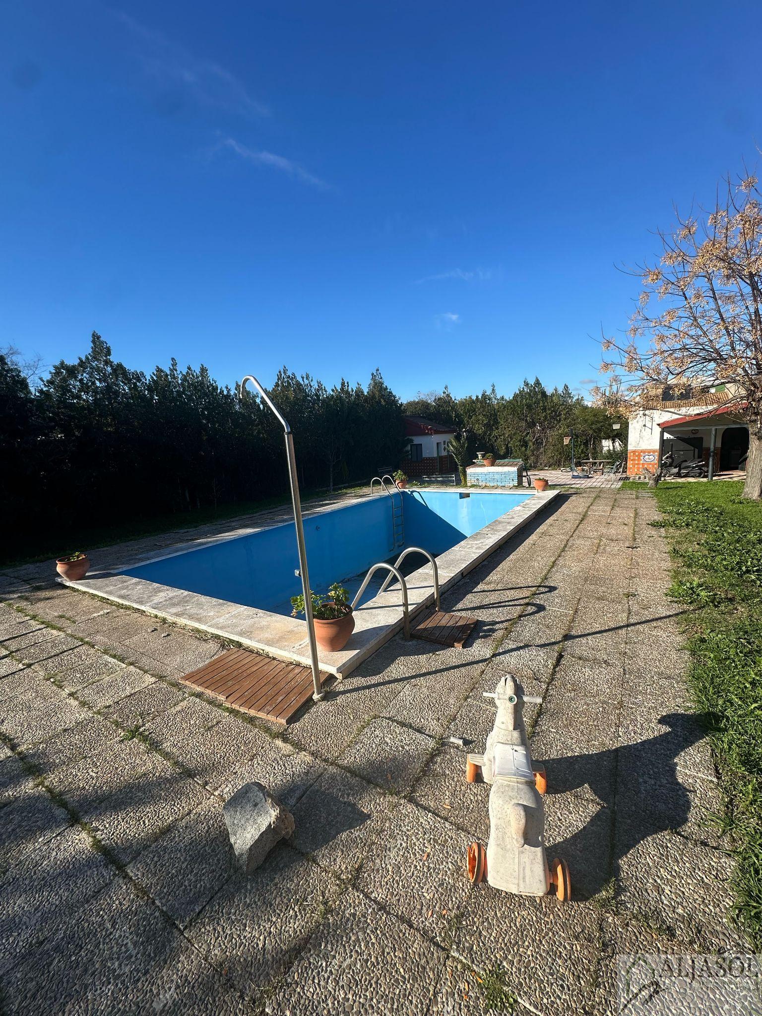 For sale of land in Palomares del Río