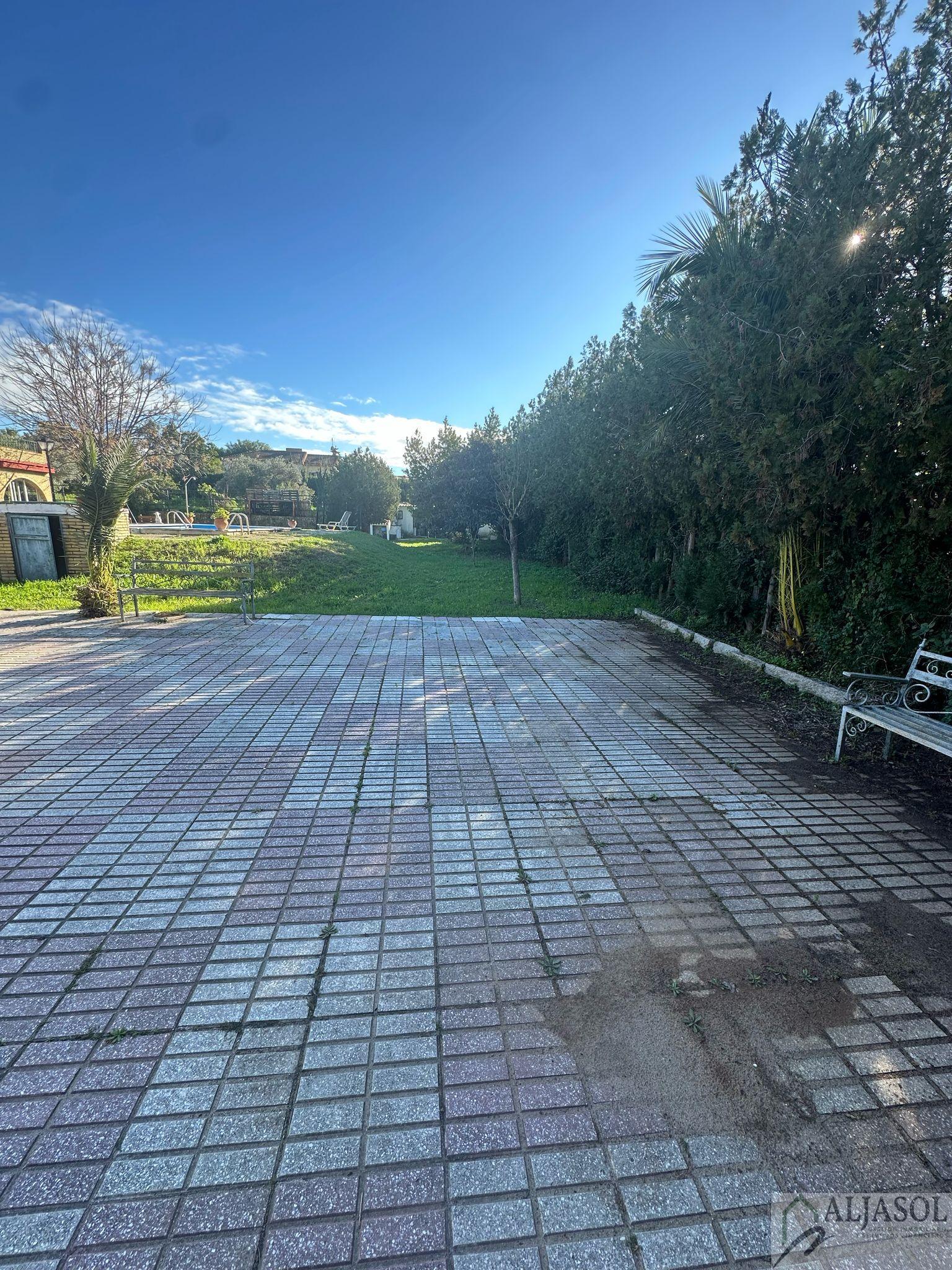 For sale of land in Palomares del Río