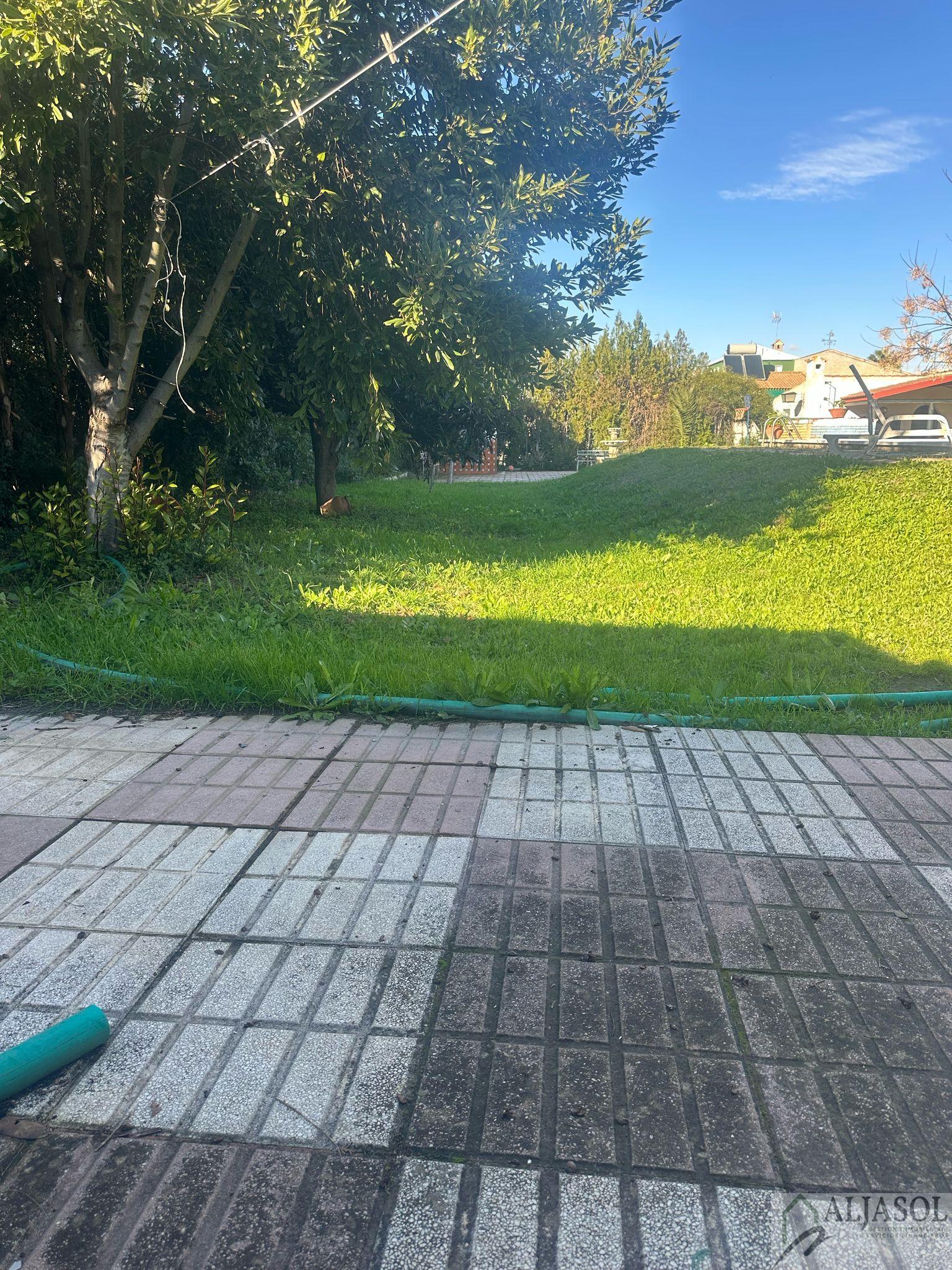 For sale of land in Palomares del Río