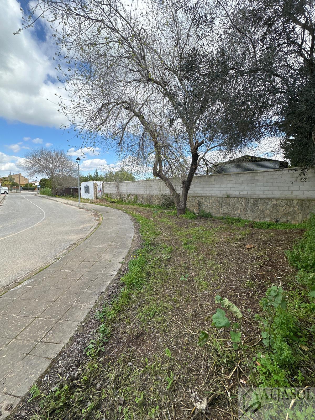 For sale of land in Palomares del Río