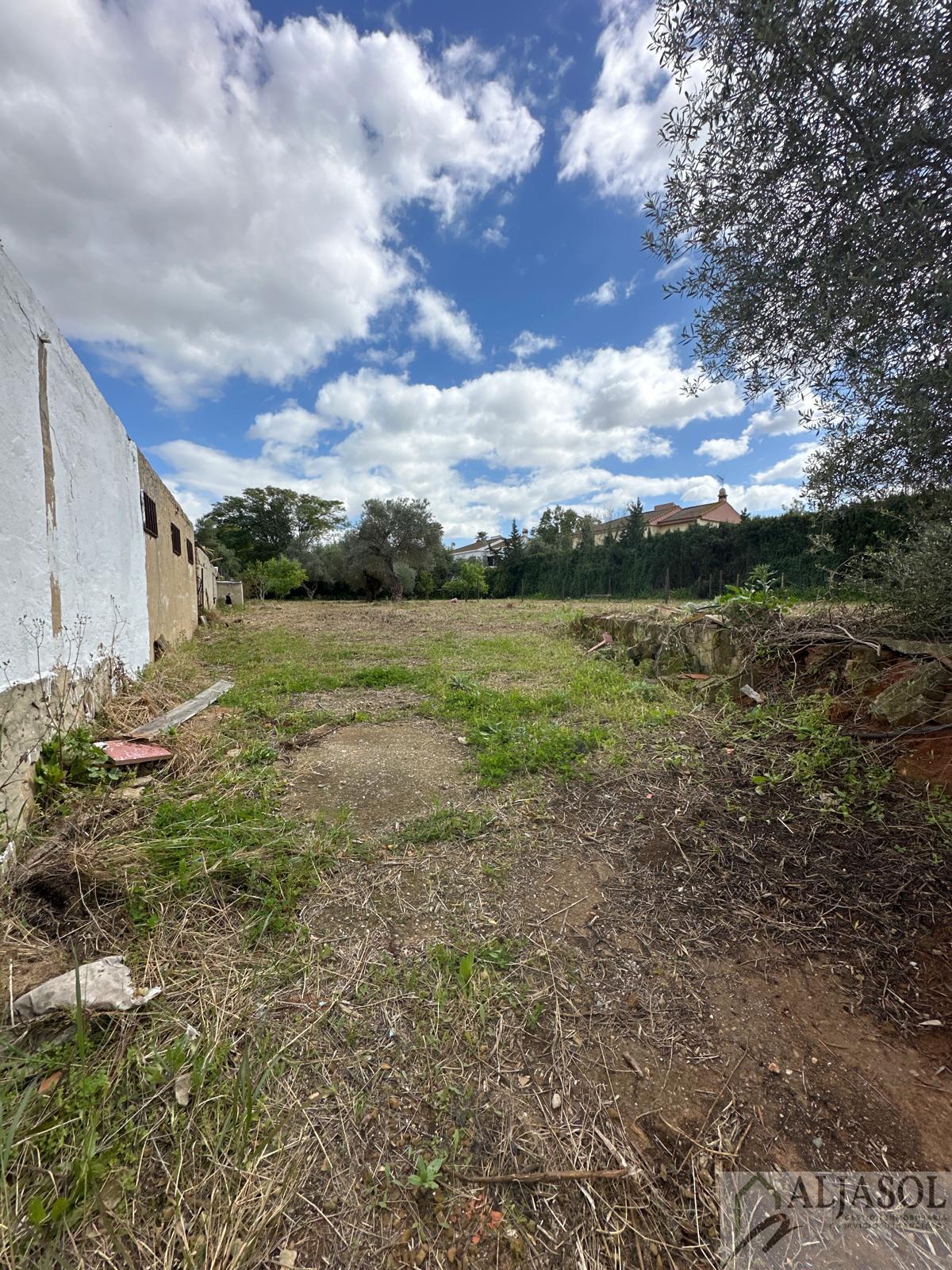 For sale of land in Palomares del Río