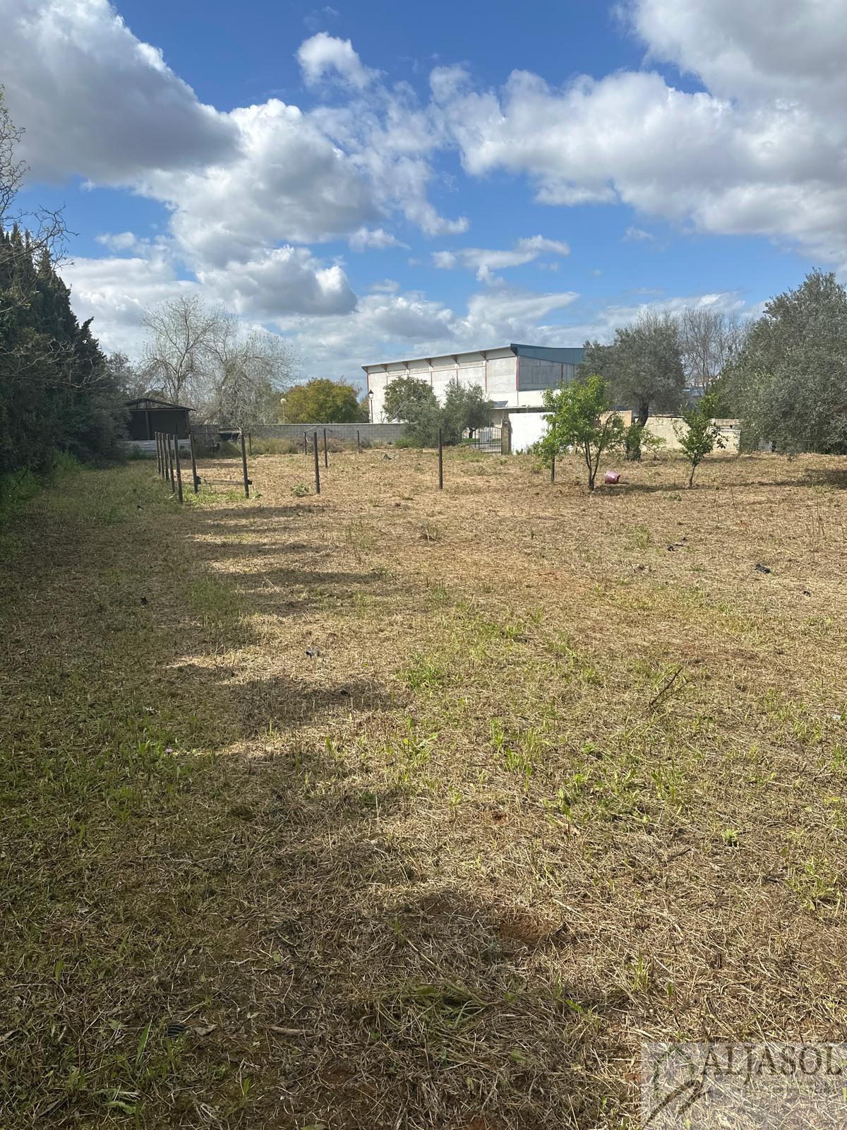For sale of land in Palomares del Río