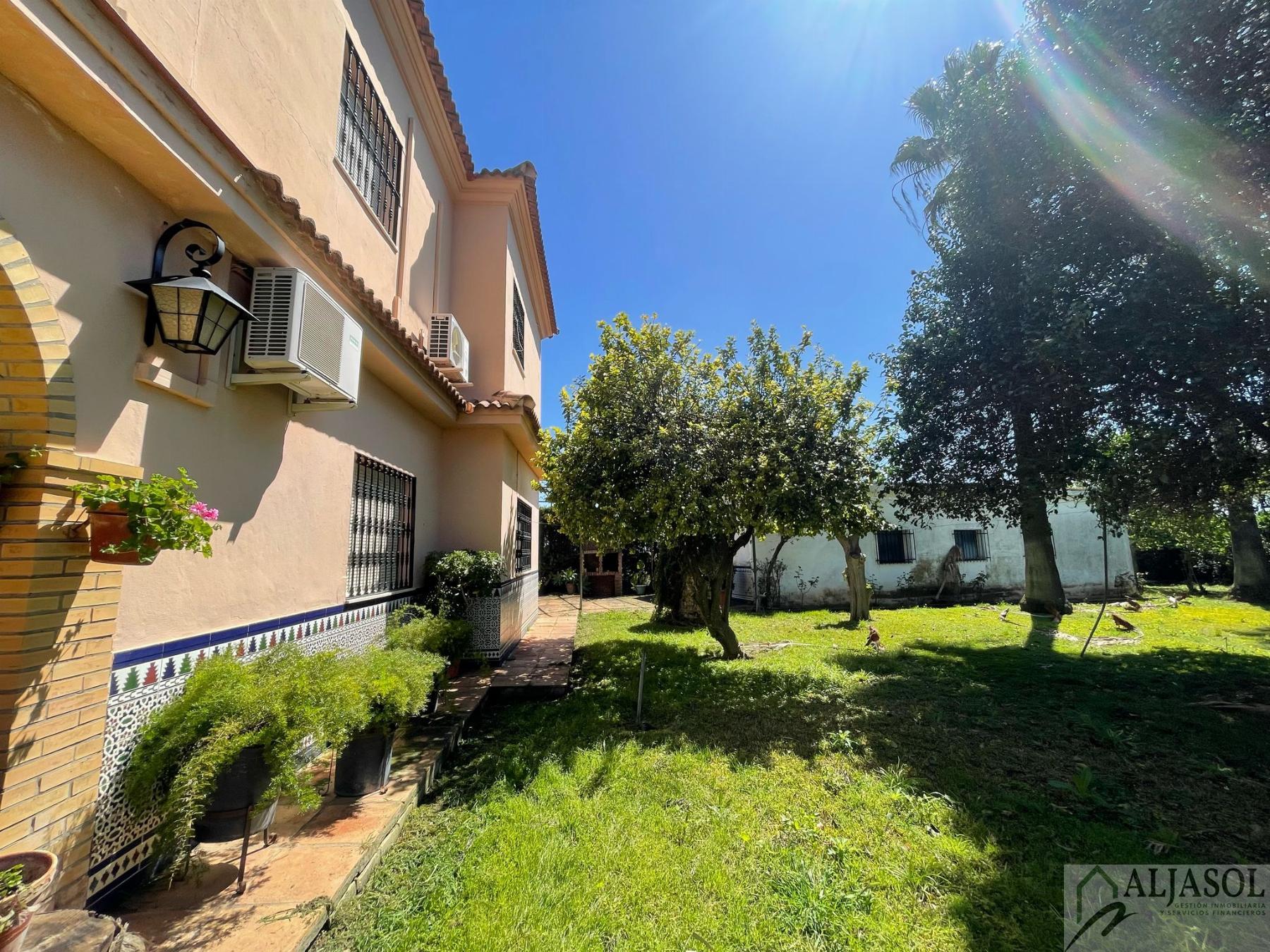 Venta de finca rústica en Sanlúcar la Mayor