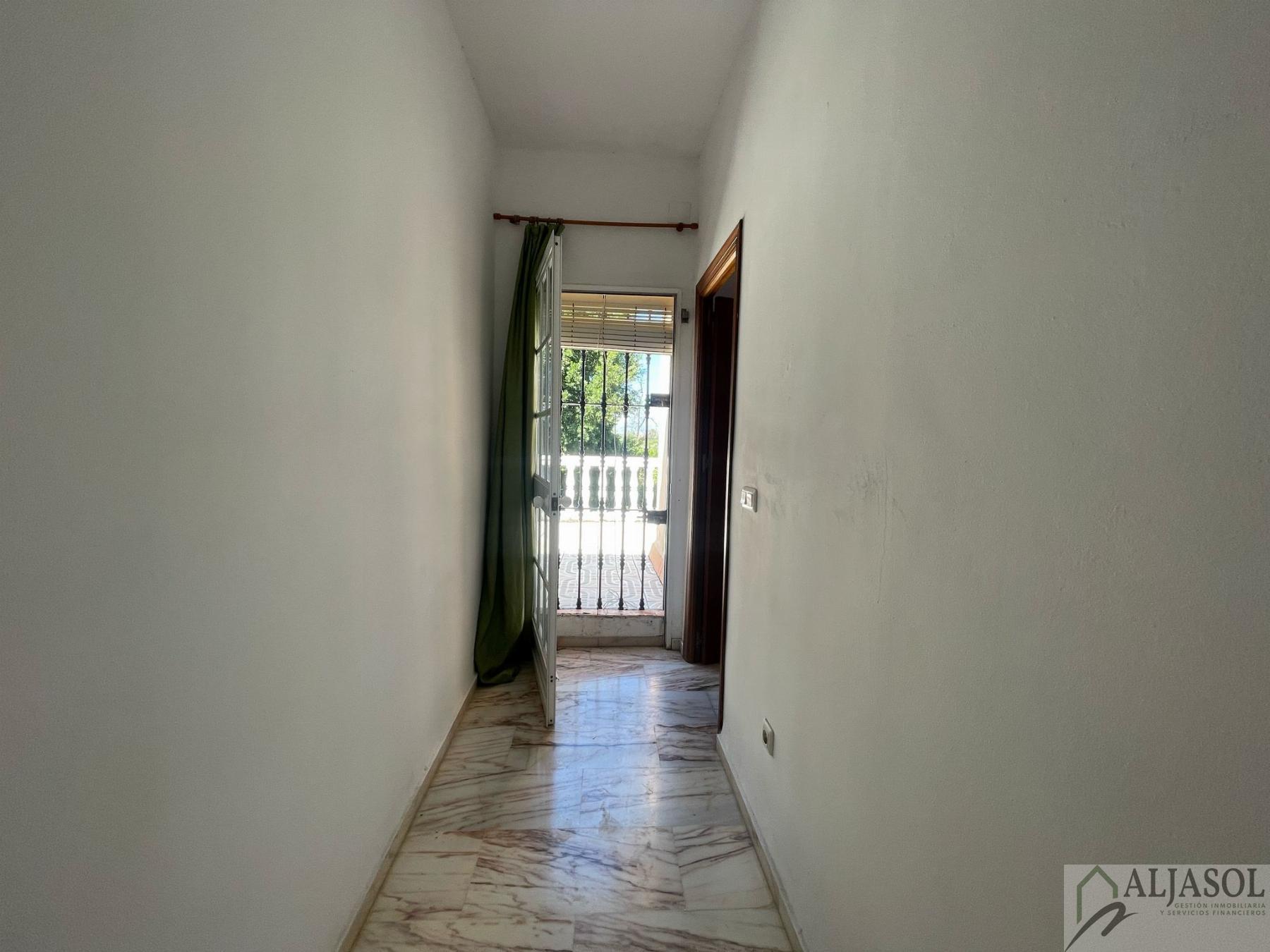 Venta de finca rústica en Sanlúcar la Mayor