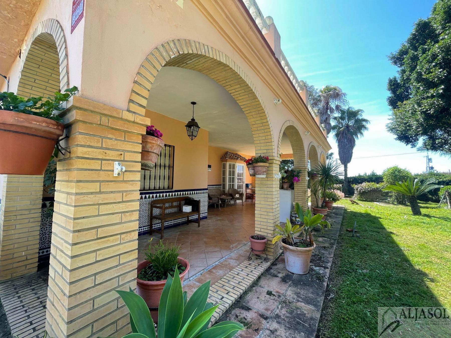 Venta de finca rústica en Sanlúcar la Mayor