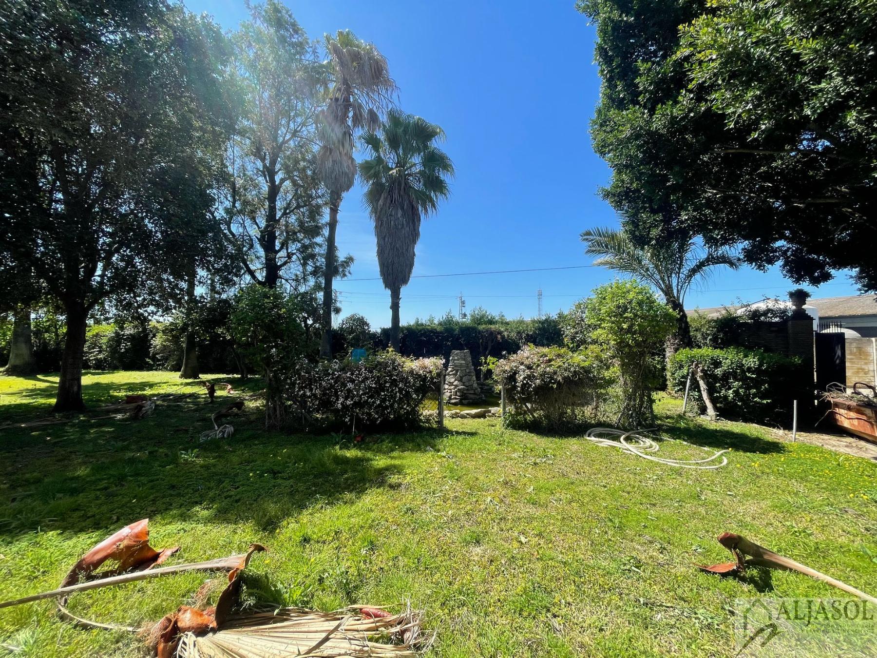 Venta de finca rústica en Sanlúcar la Mayor