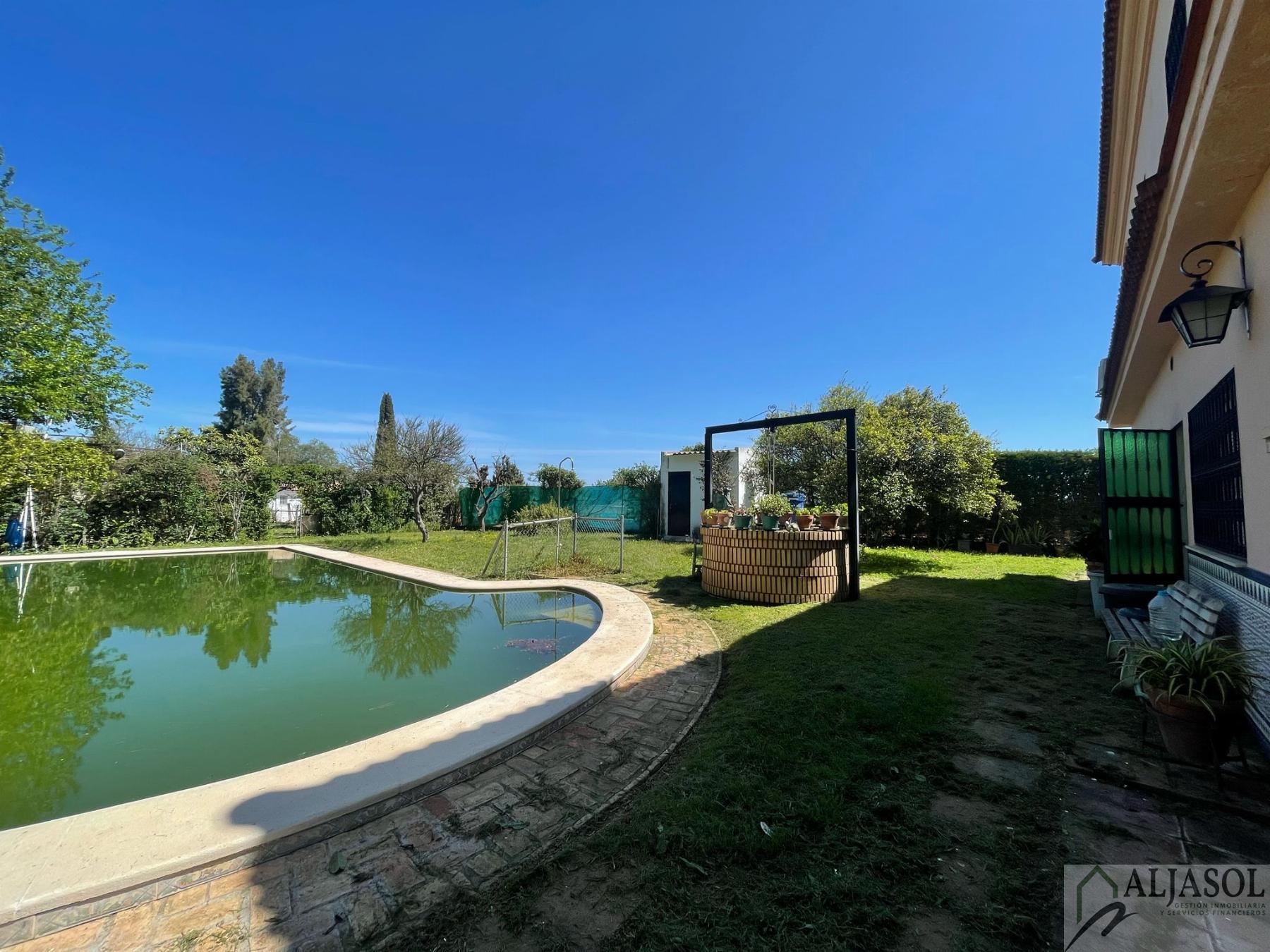 Venta de finca rústica en Sanlúcar la Mayor