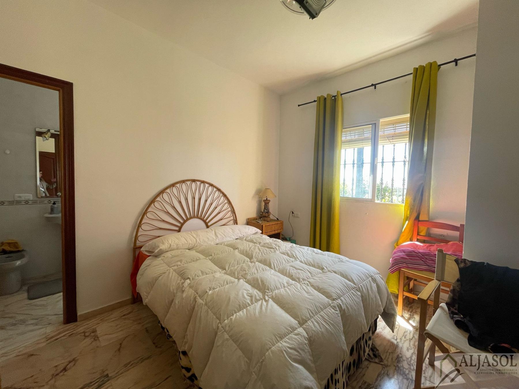 Venta de finca rústica en Sanlúcar la Mayor