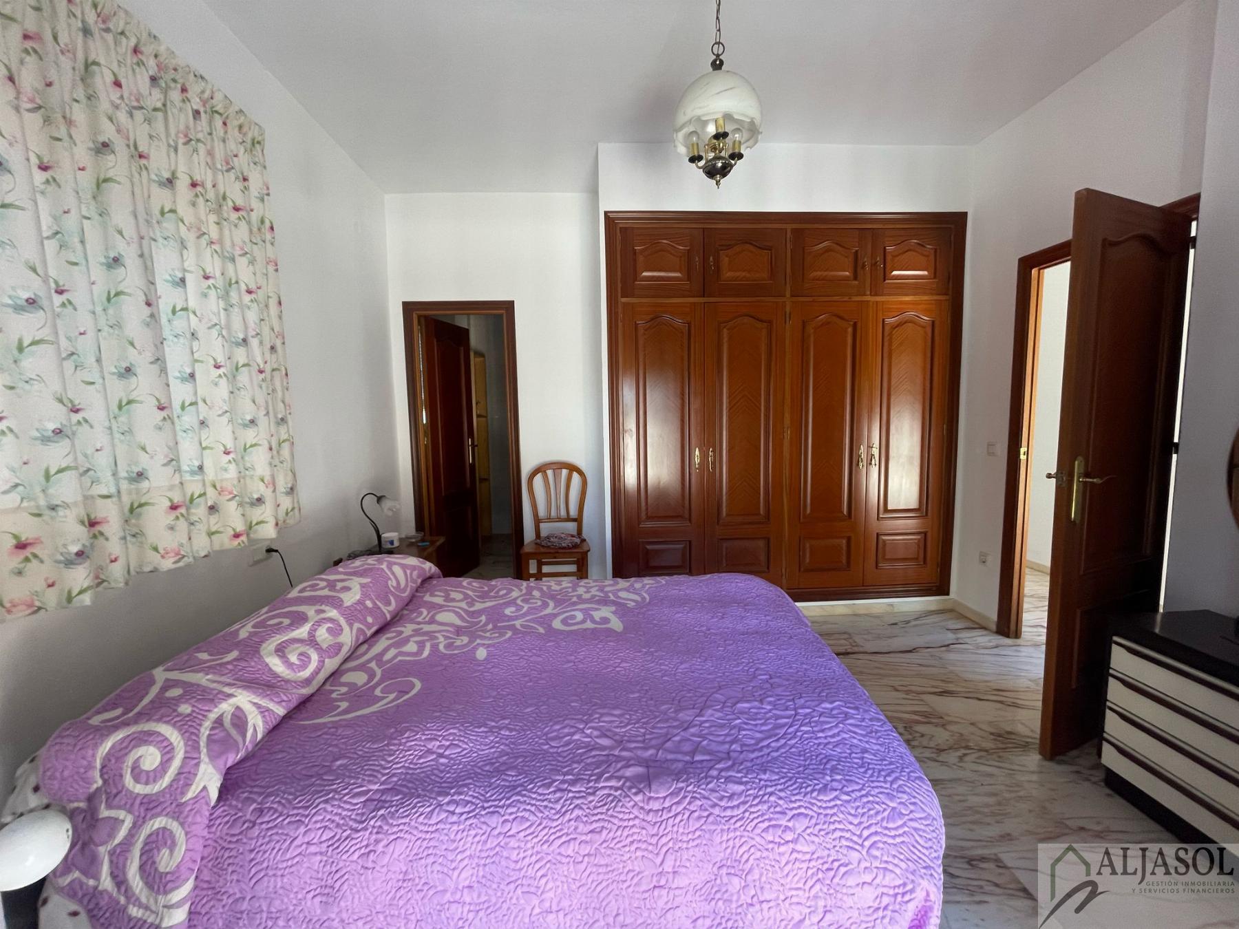 Venta de finca rústica en Sanlúcar la Mayor