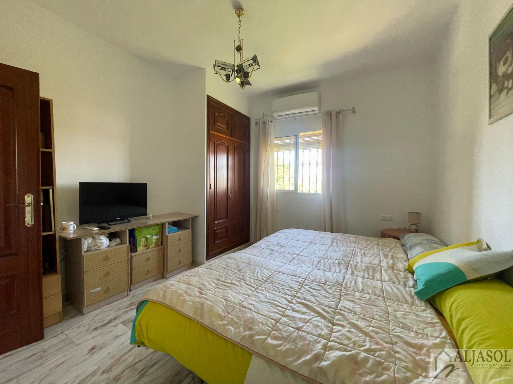 Venta de finca rústica en Sanlúcar la Mayor