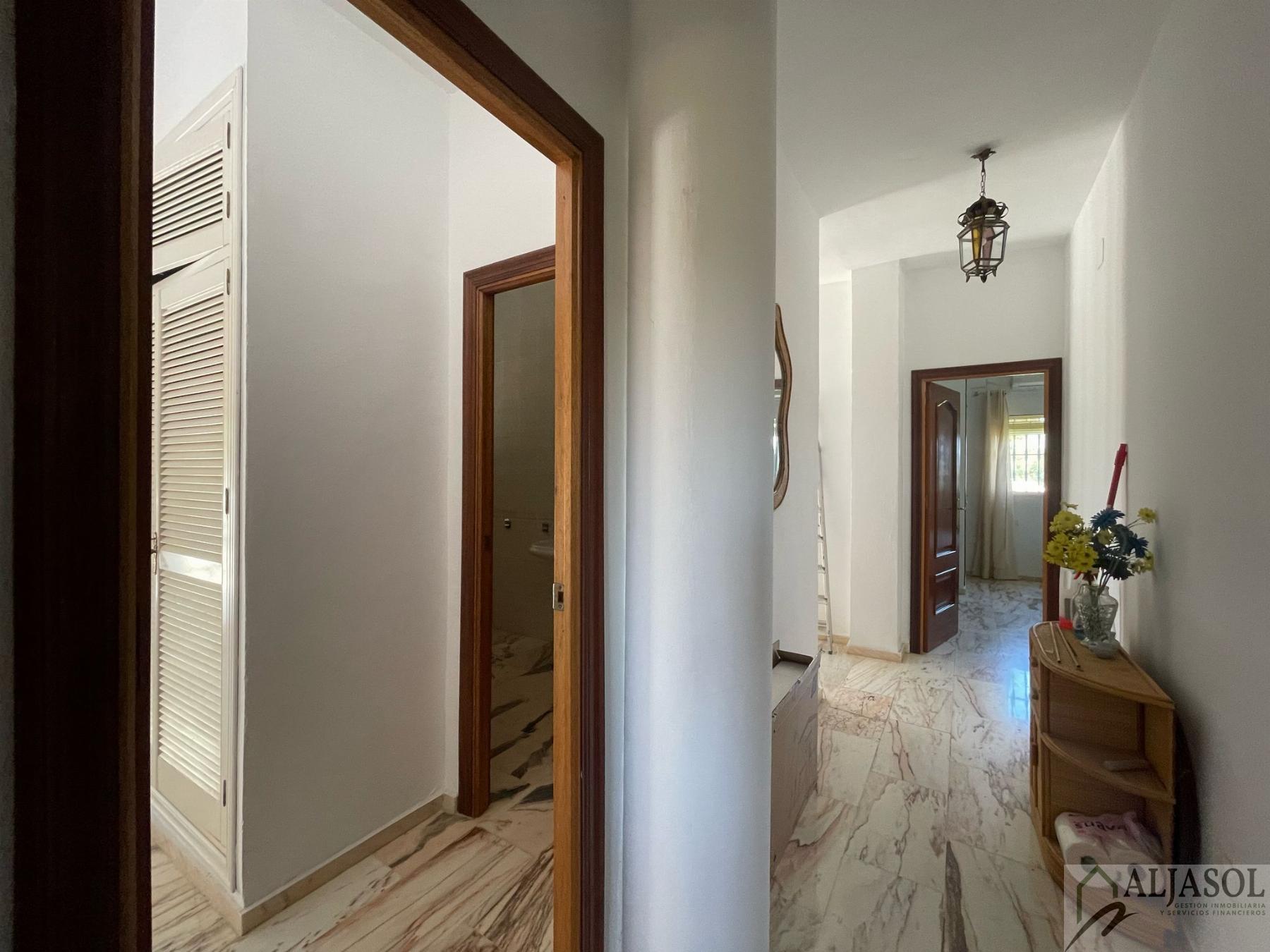 Venta de finca rústica en Sanlúcar la Mayor