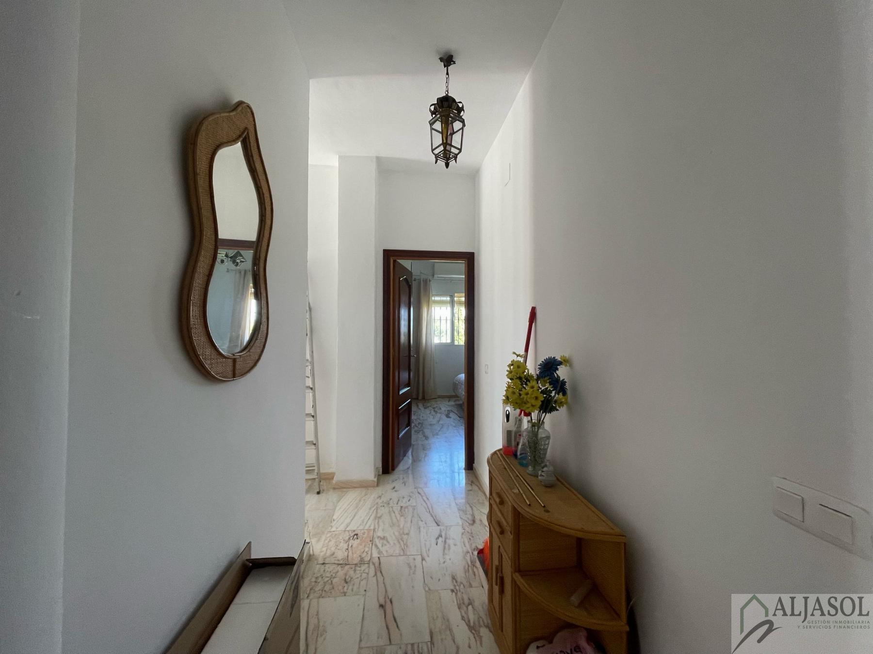 Venta de finca rústica en Sanlúcar la Mayor