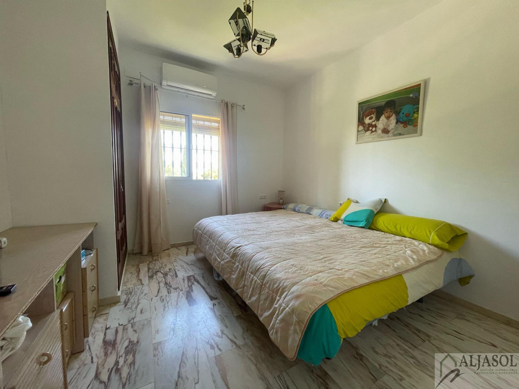 Venta de finca rústica en Sanlúcar la Mayor