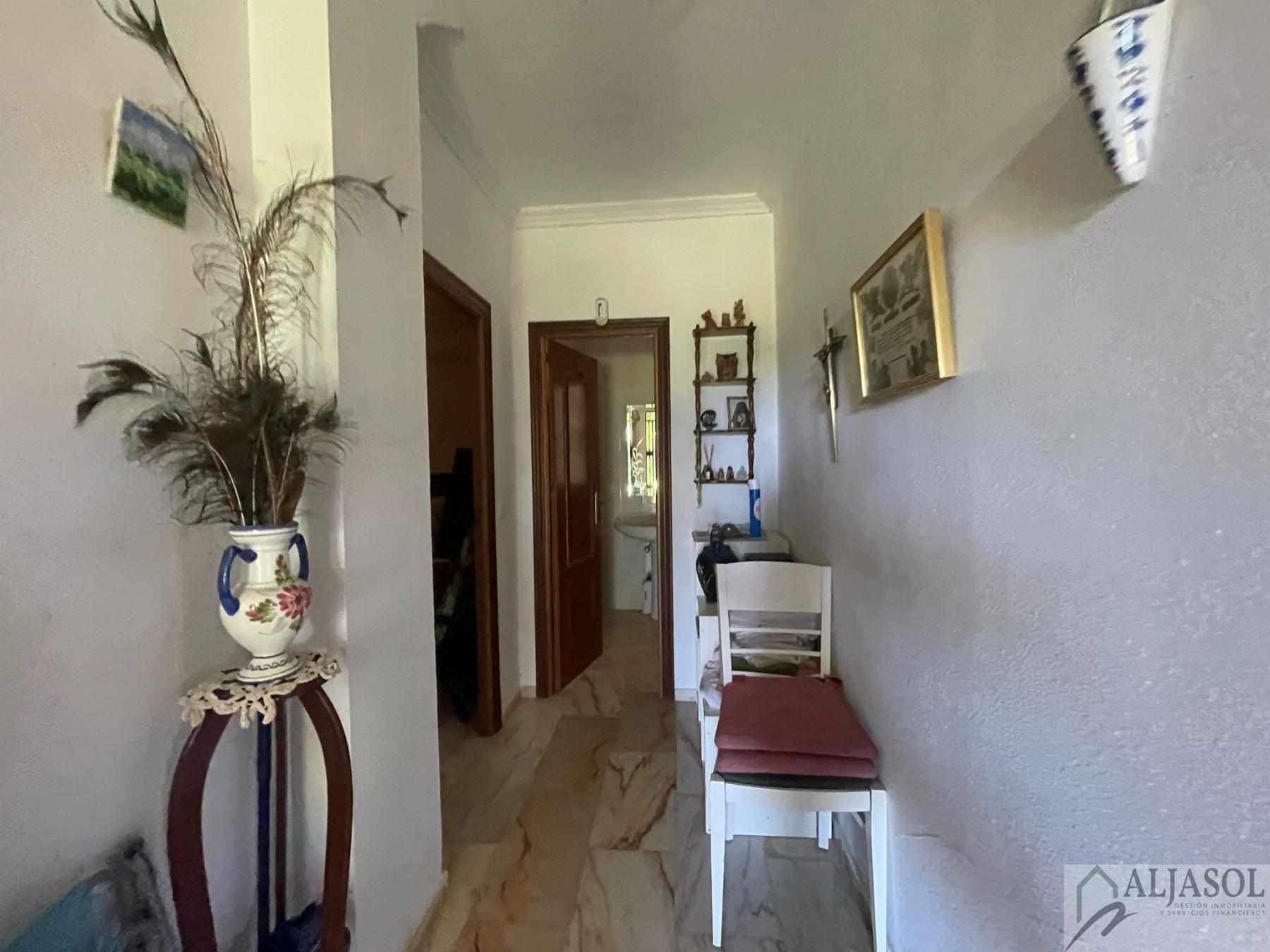 Venta de finca rústica en Sanlúcar la Mayor