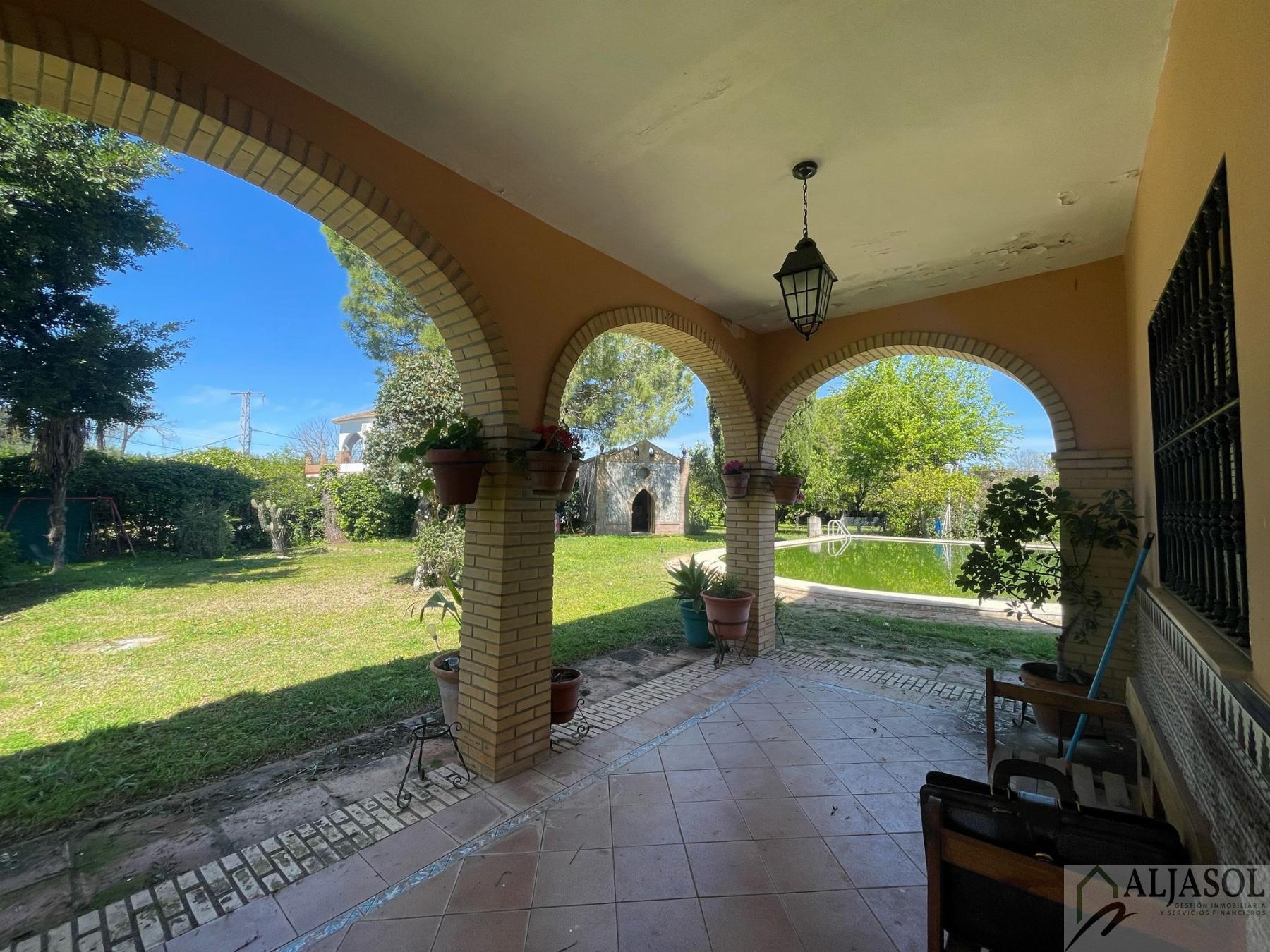 Venta de finca rústica en Sanlúcar la Mayor