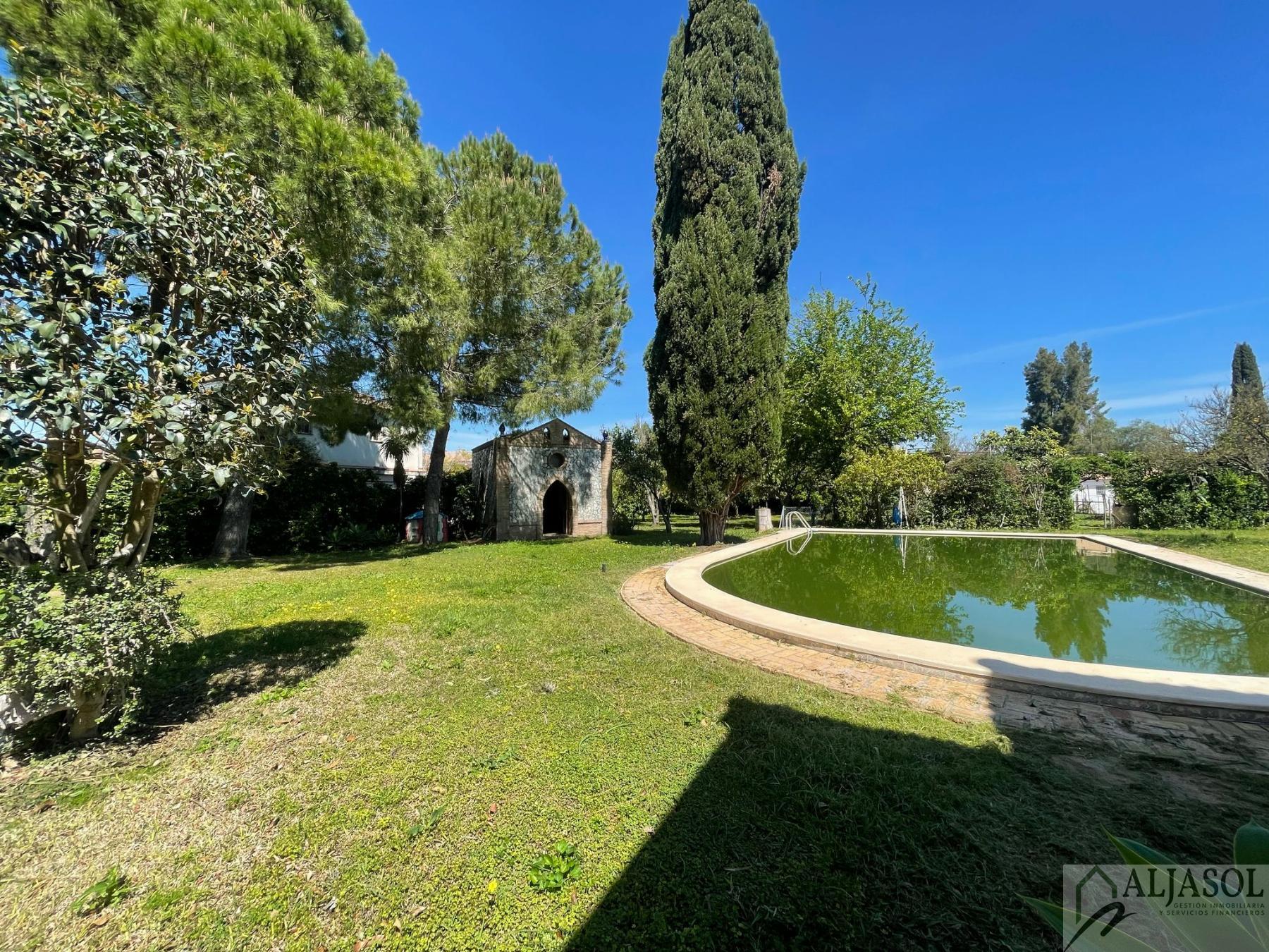 Venta de finca rústica en Sanlúcar la Mayor