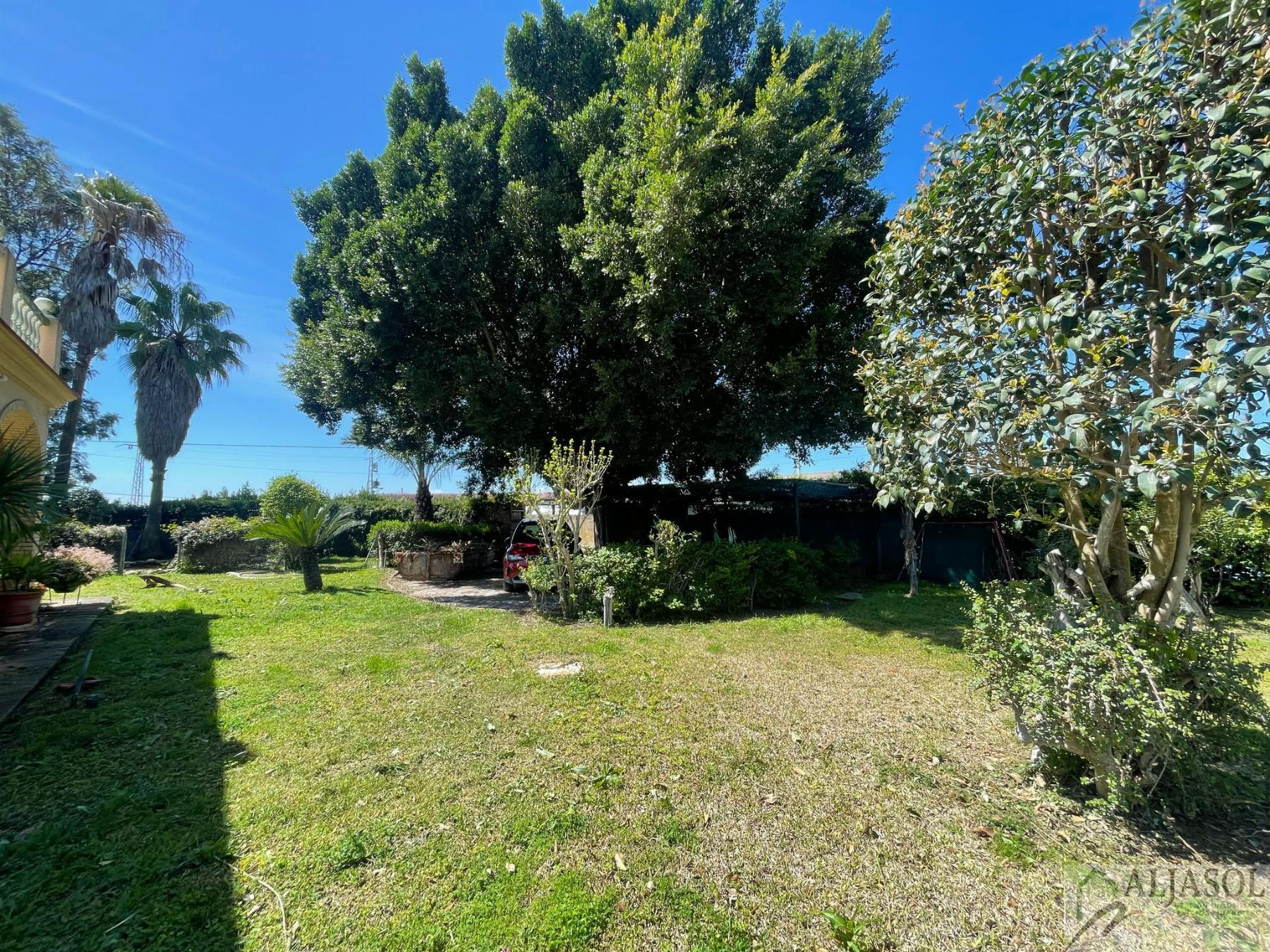 Venta de finca rústica en Sanlúcar la Mayor