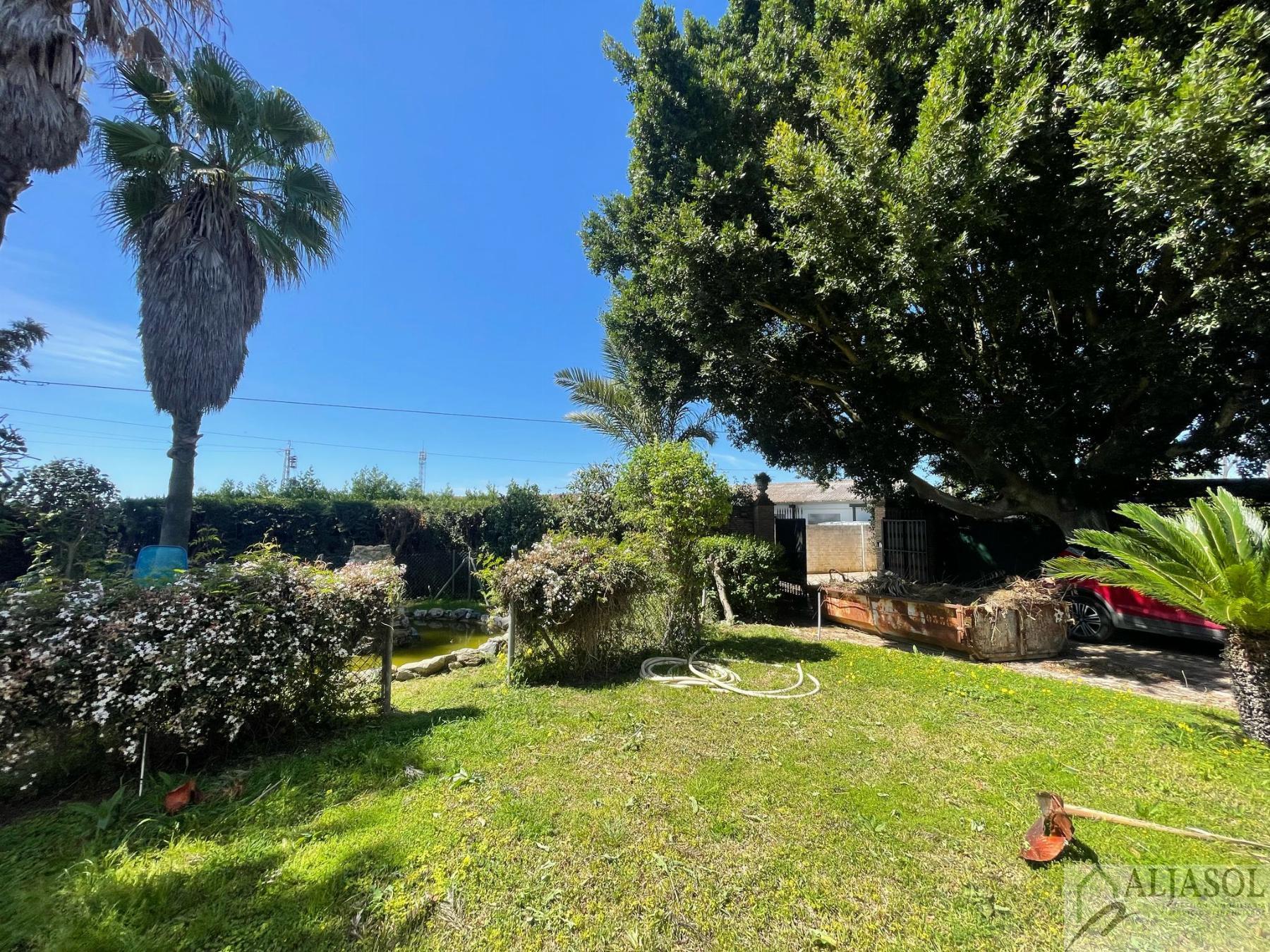 Venta de finca rústica en Sanlúcar la Mayor
