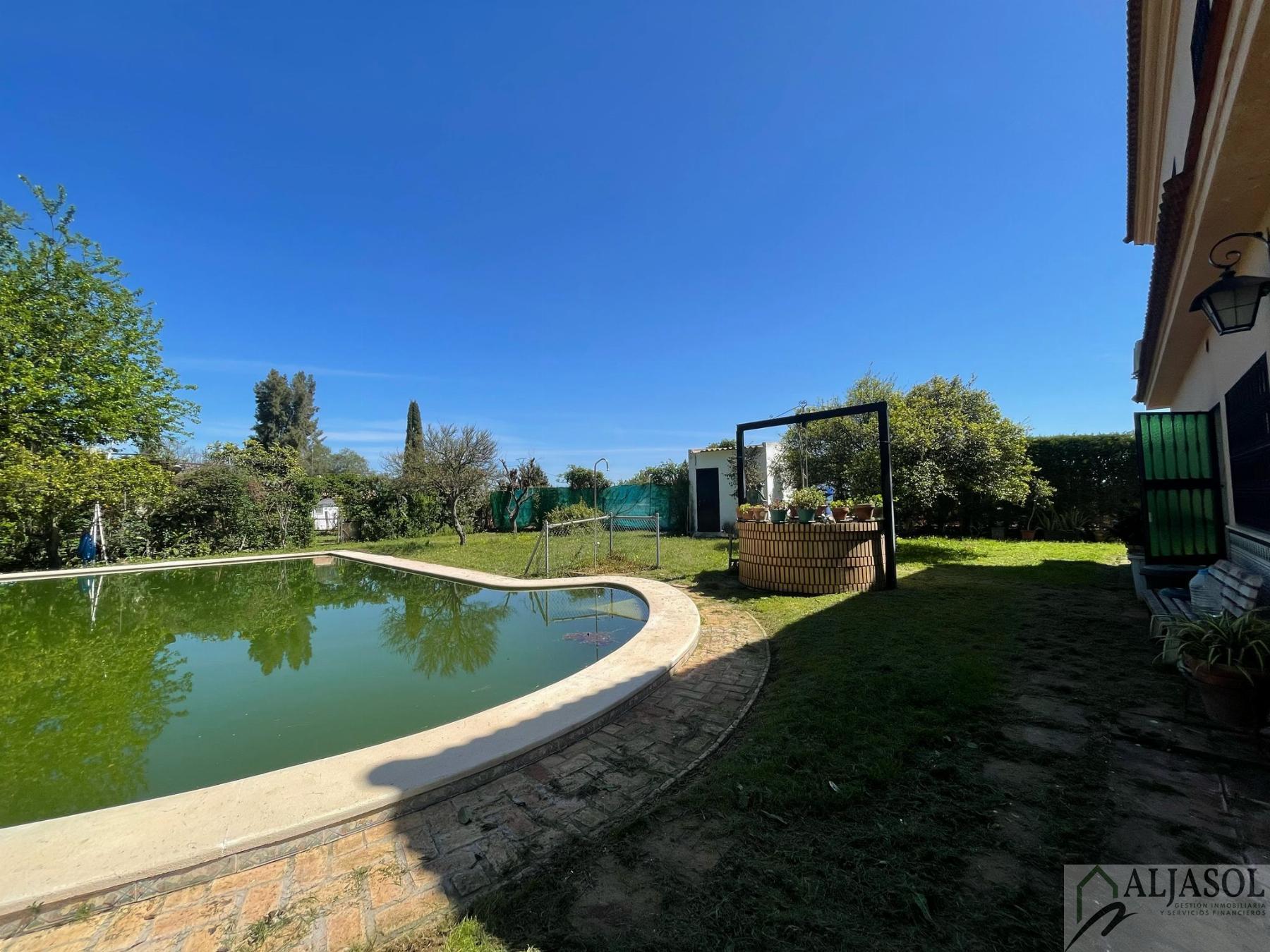 Venta de finca rústica en Sanlúcar la Mayor