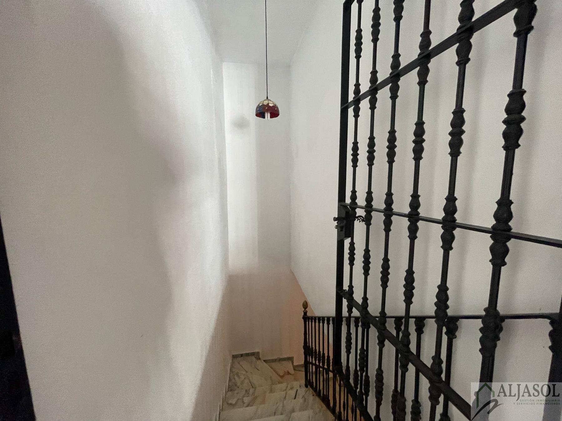 Venta de finca rústica en Sanlúcar la Mayor
