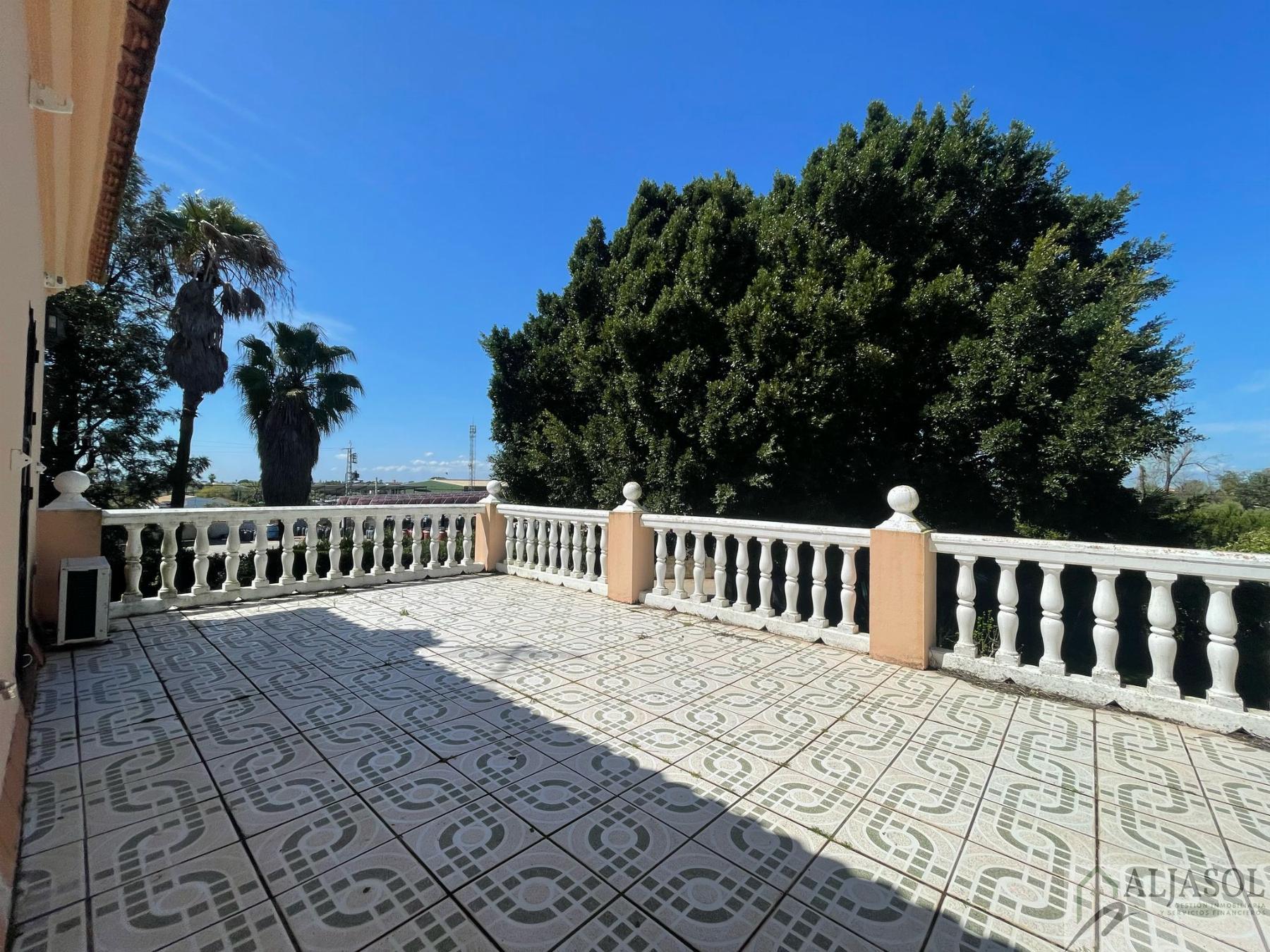 Venta de finca rústica en Sanlúcar la Mayor