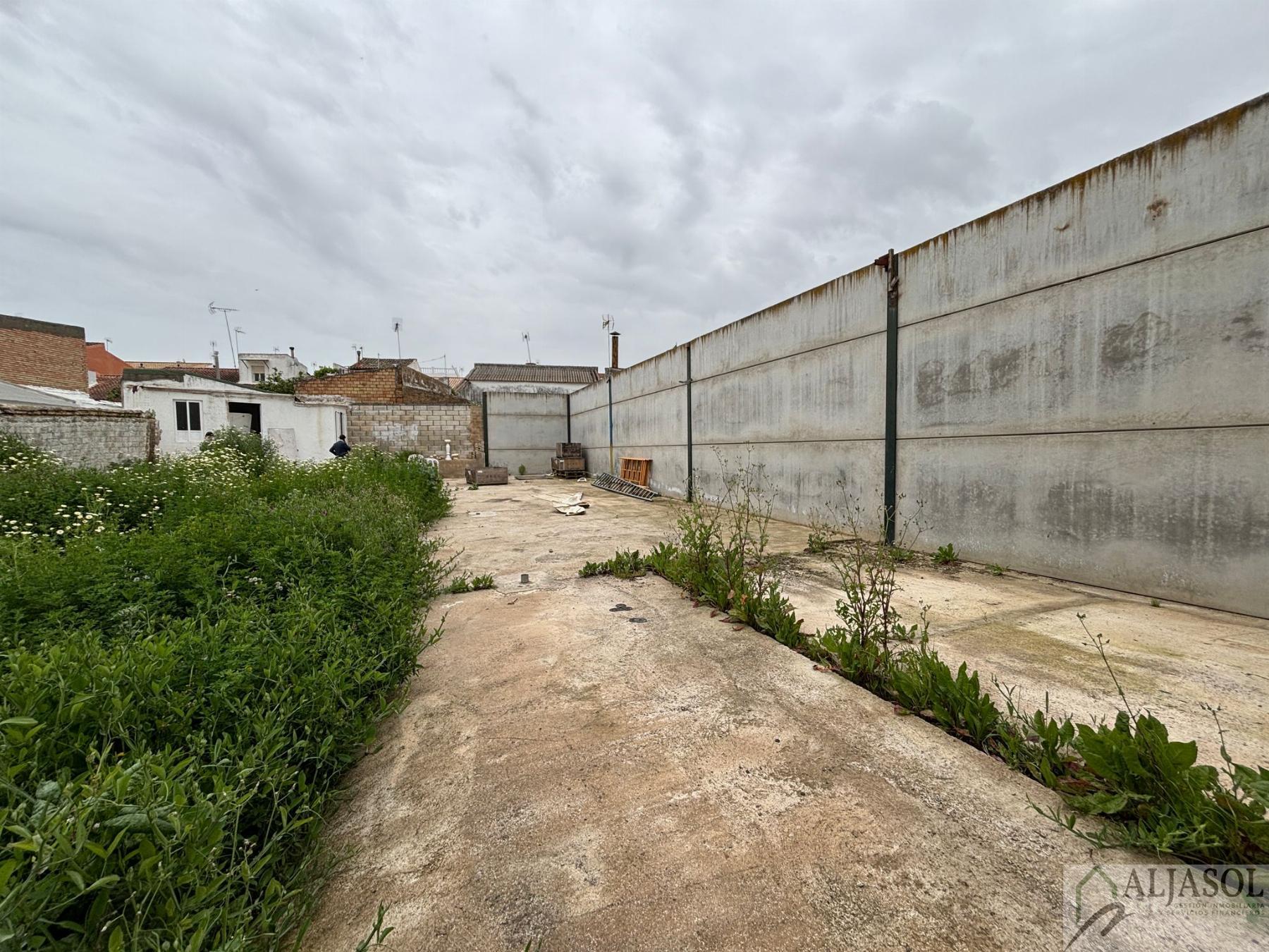 Ground