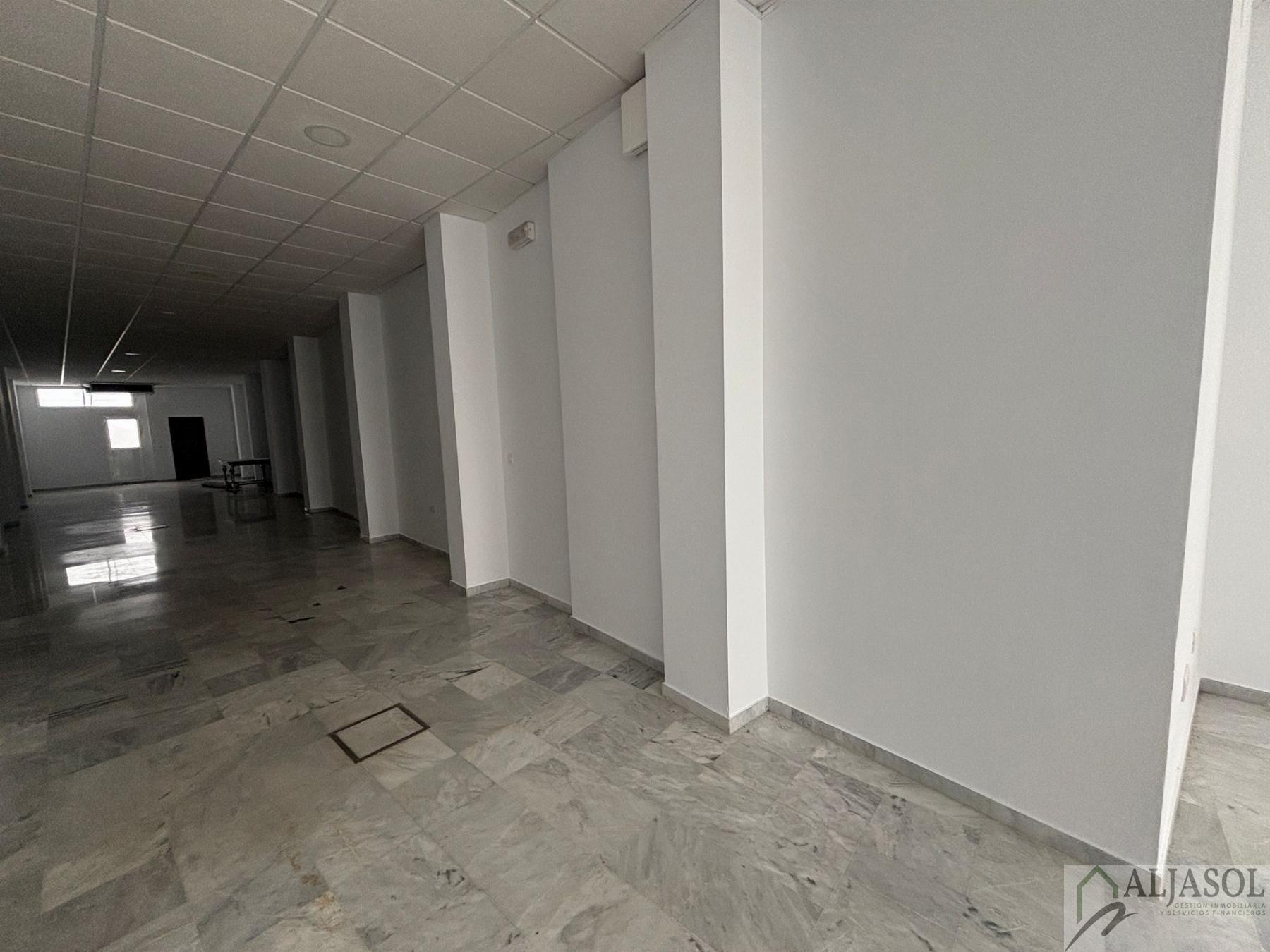 For rent of commercial in Salteras