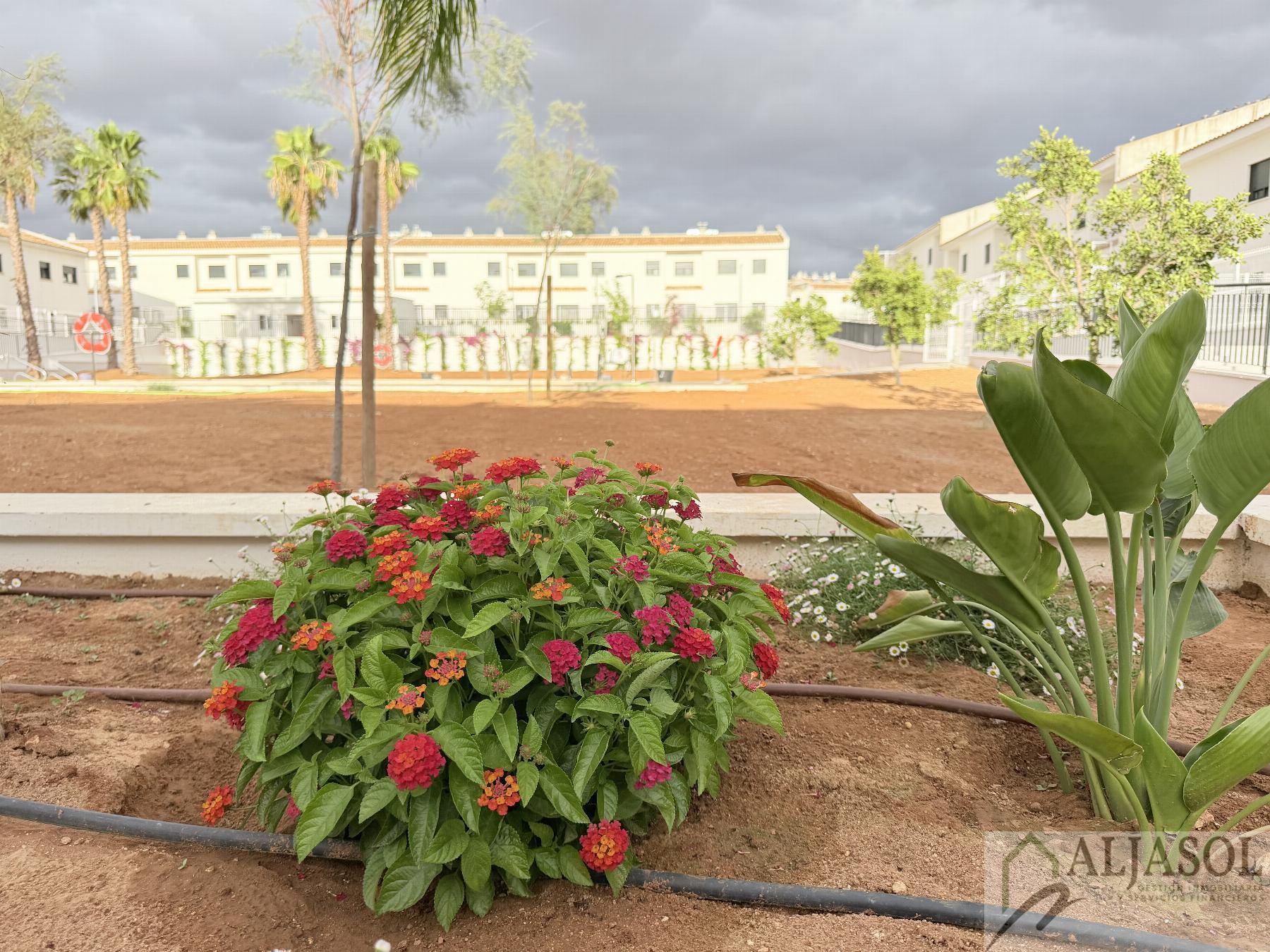 Venta de casa en Salteras