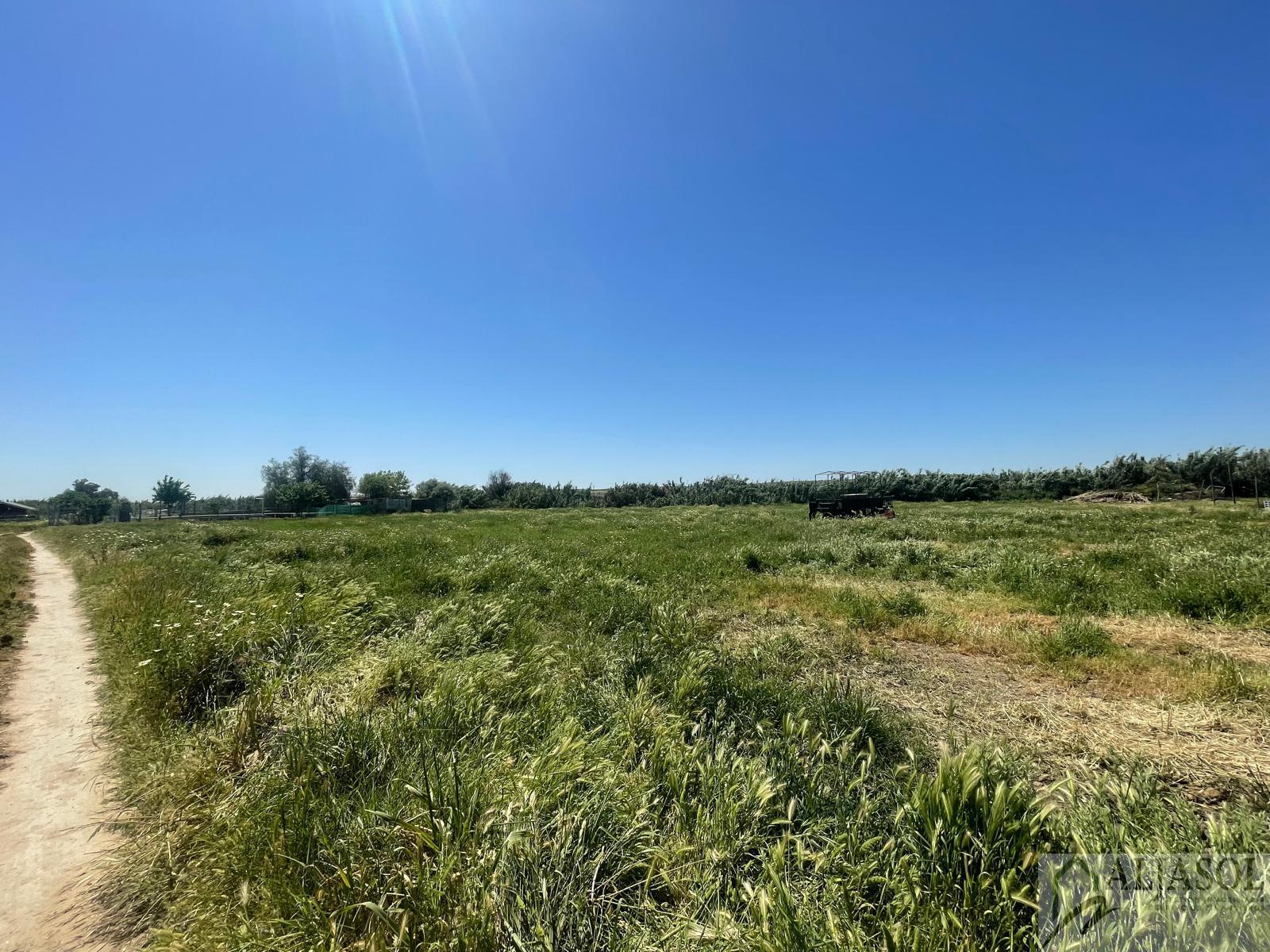 Venta de finca rústica en Salteras